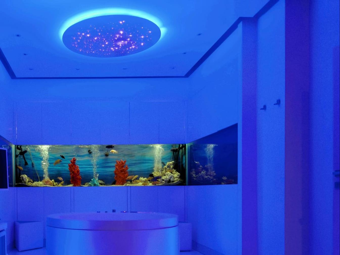 King Suite with Spa Bath photo 3
