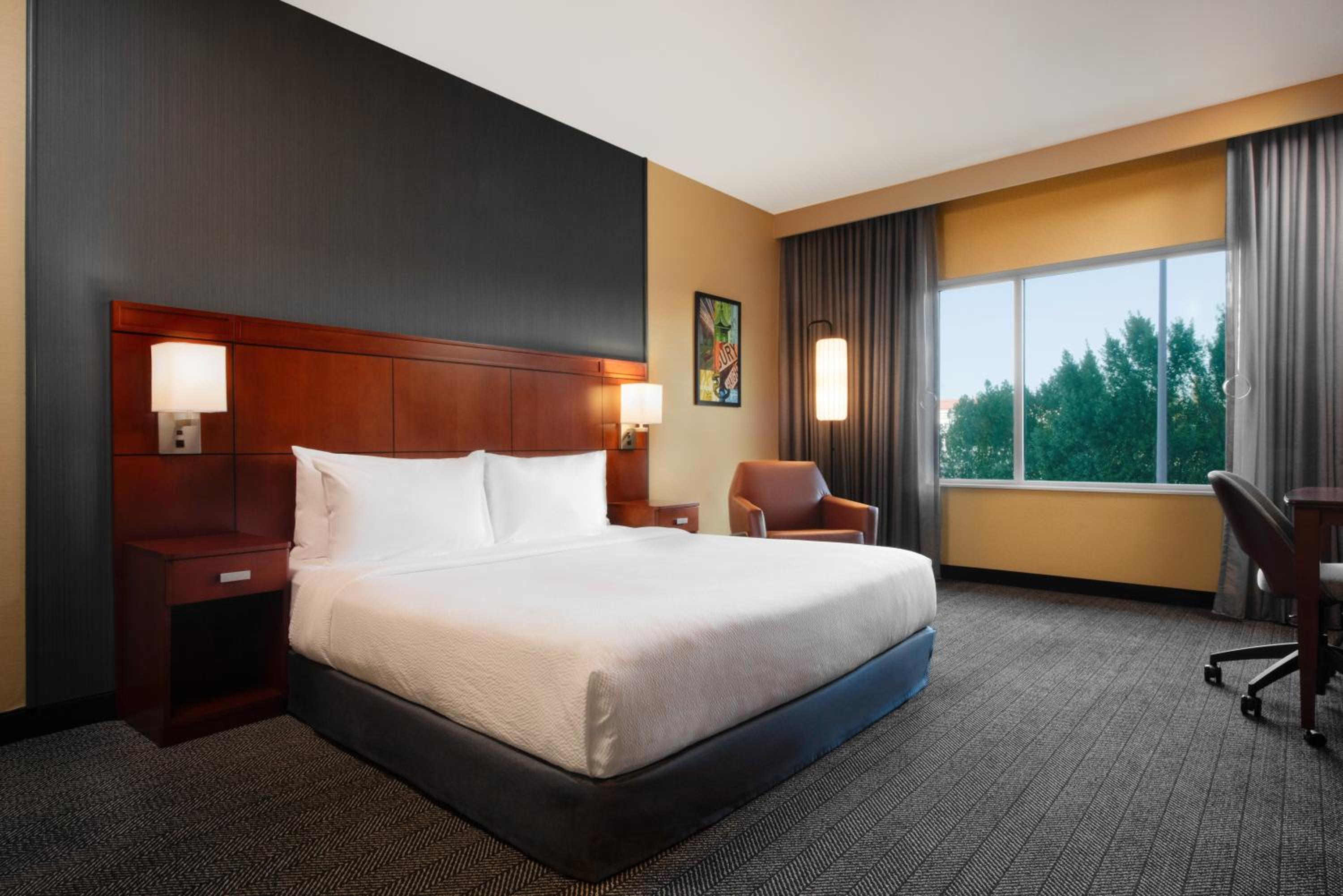 Standard King Room with Sofa Bed and Roll-In Shower - Mobility Accessible photo 1