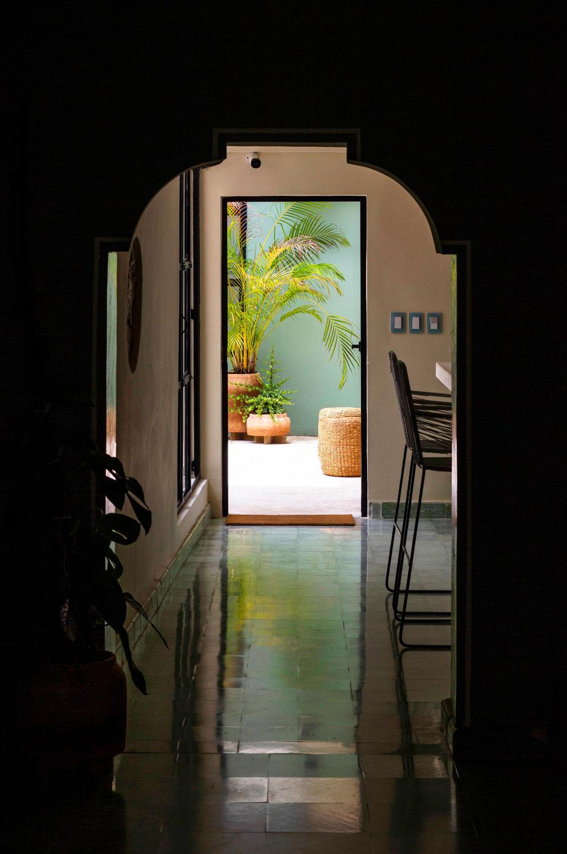 Deluxe King Suite photo 1