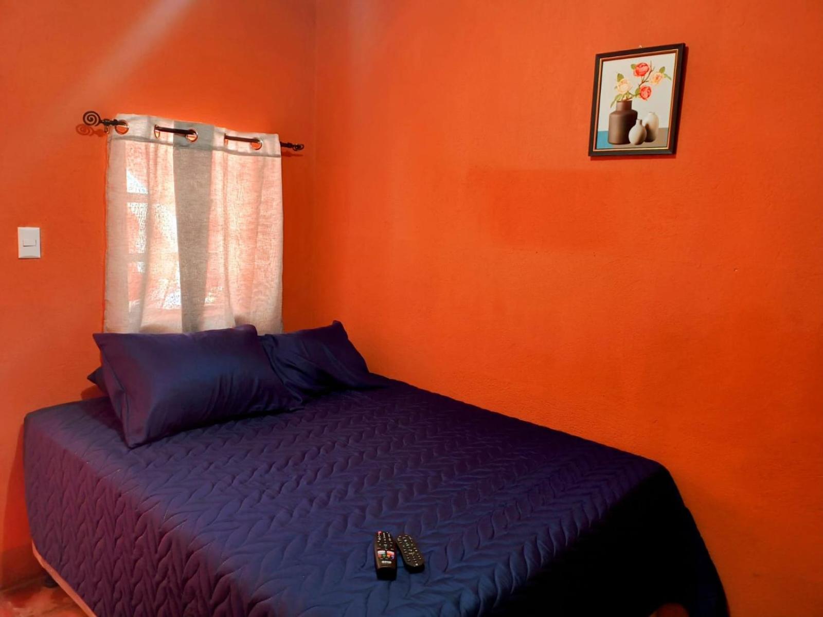 Single Room with Private Bathroom photo 2