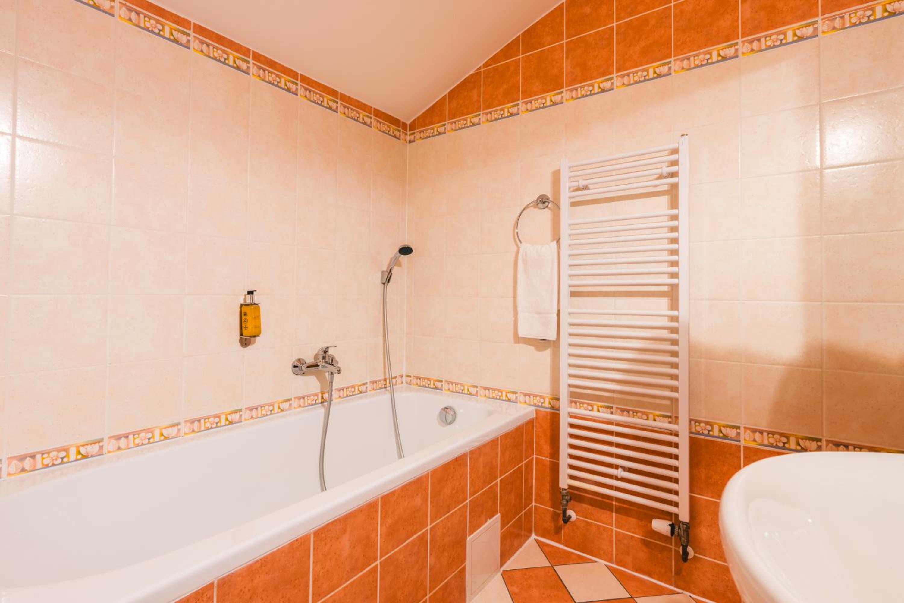 Deluxe Double or Twin Room photo 3