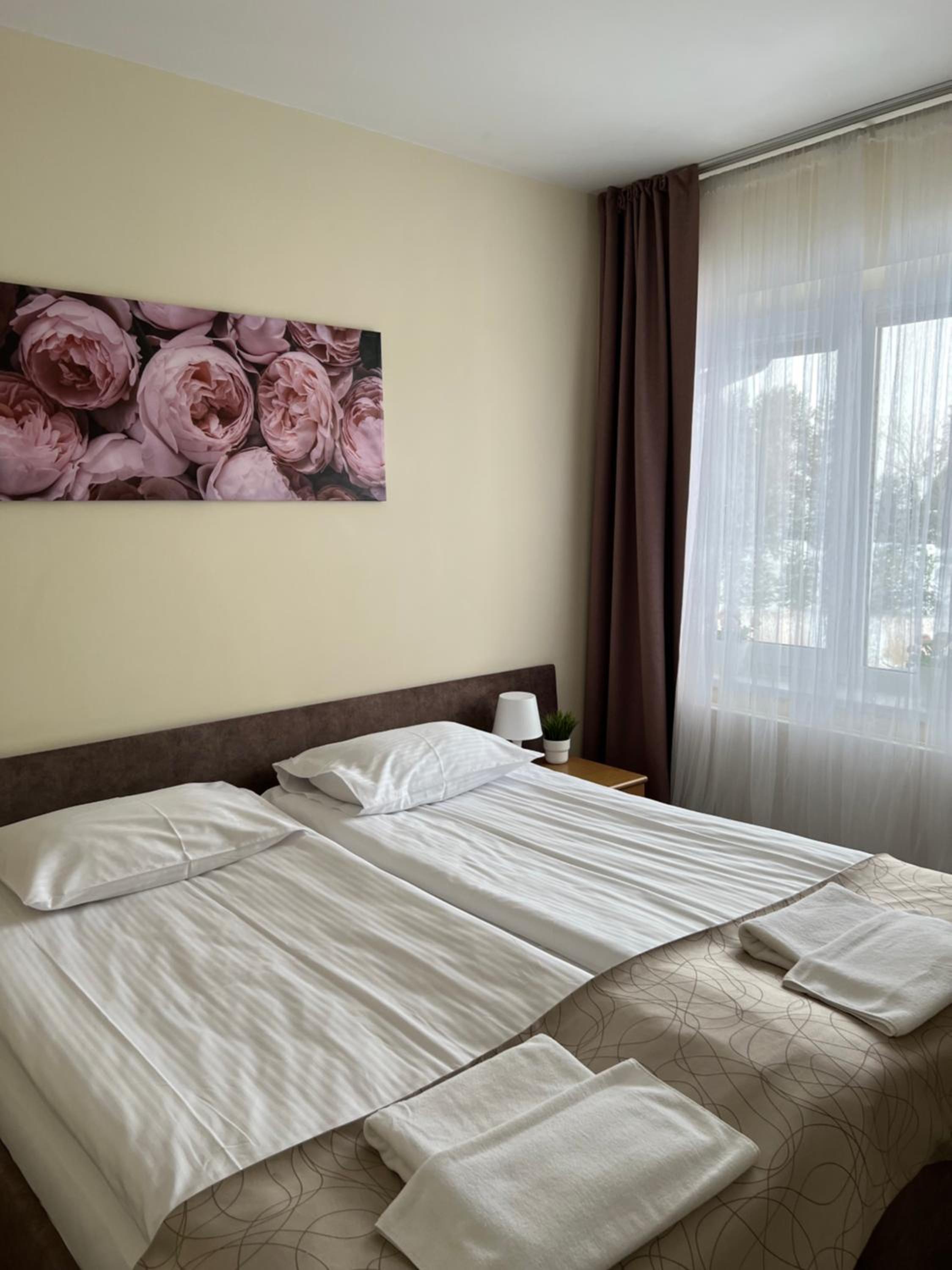 Deluxe Double or Twin Room - Photo 6