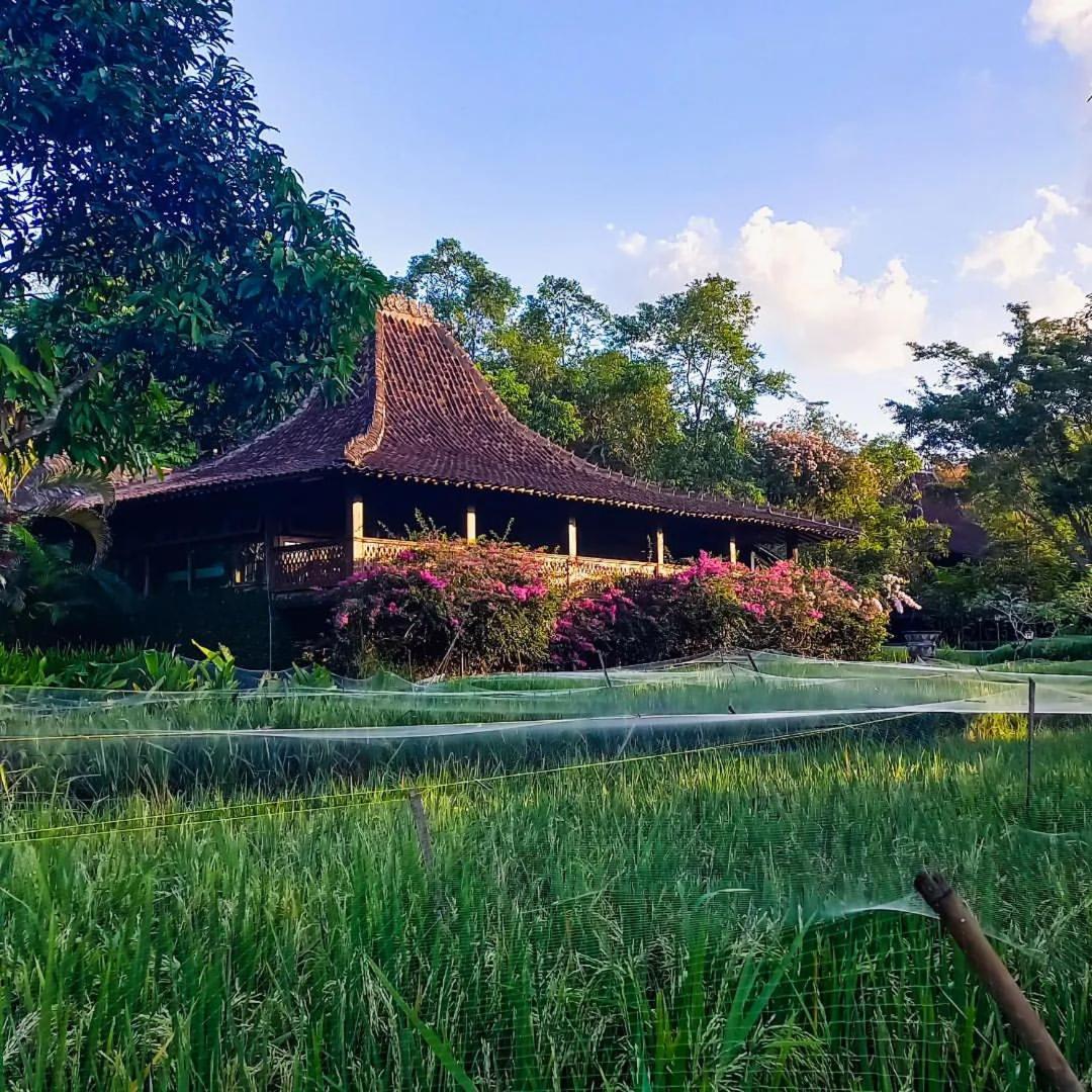 Villa with Garden View photo 2