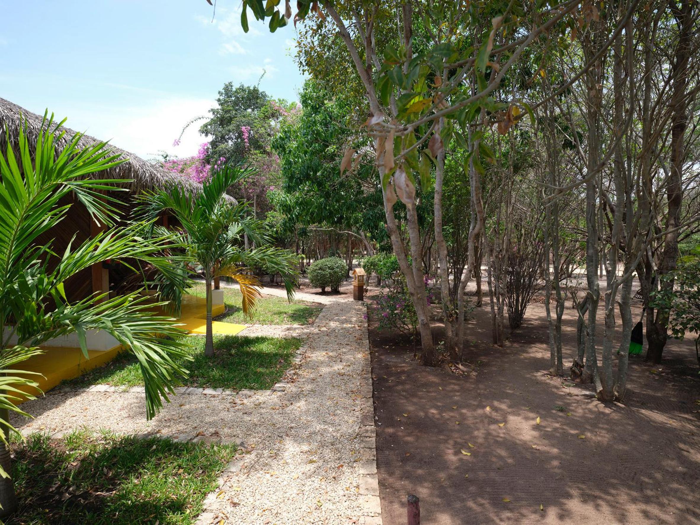 Chambre Double – Vue Jardin photo 2