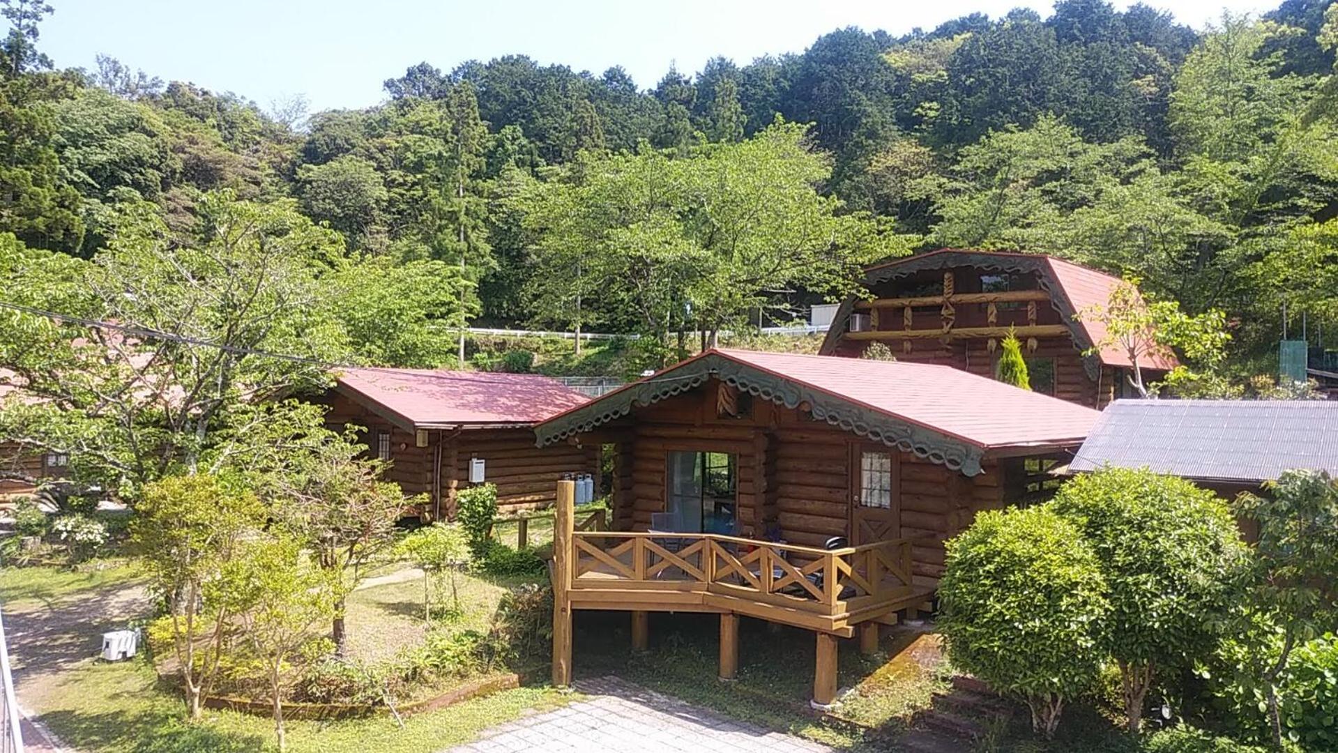 Bungalow with Sea View photo 3