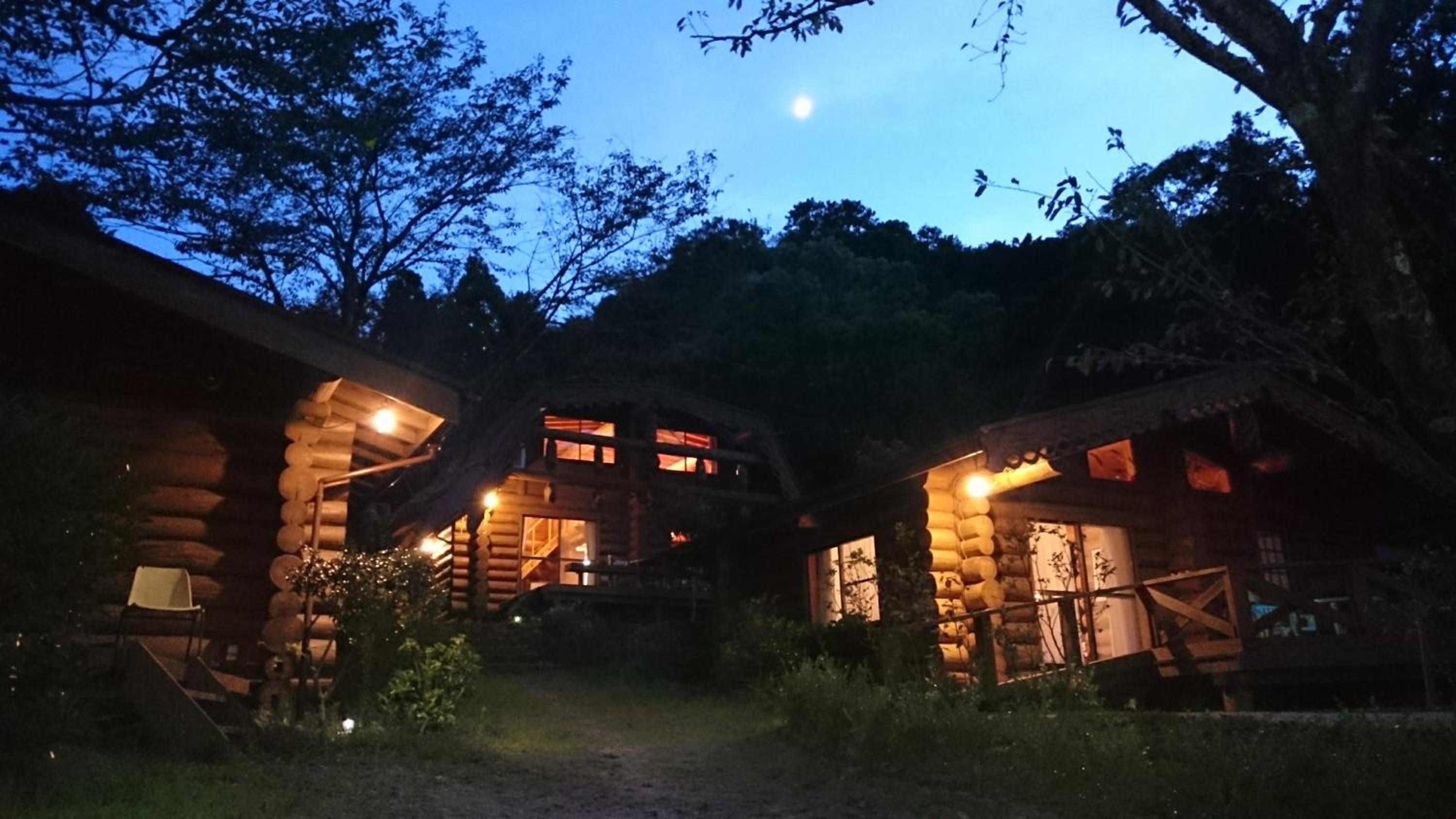 Bungalow with Sea View photo 2