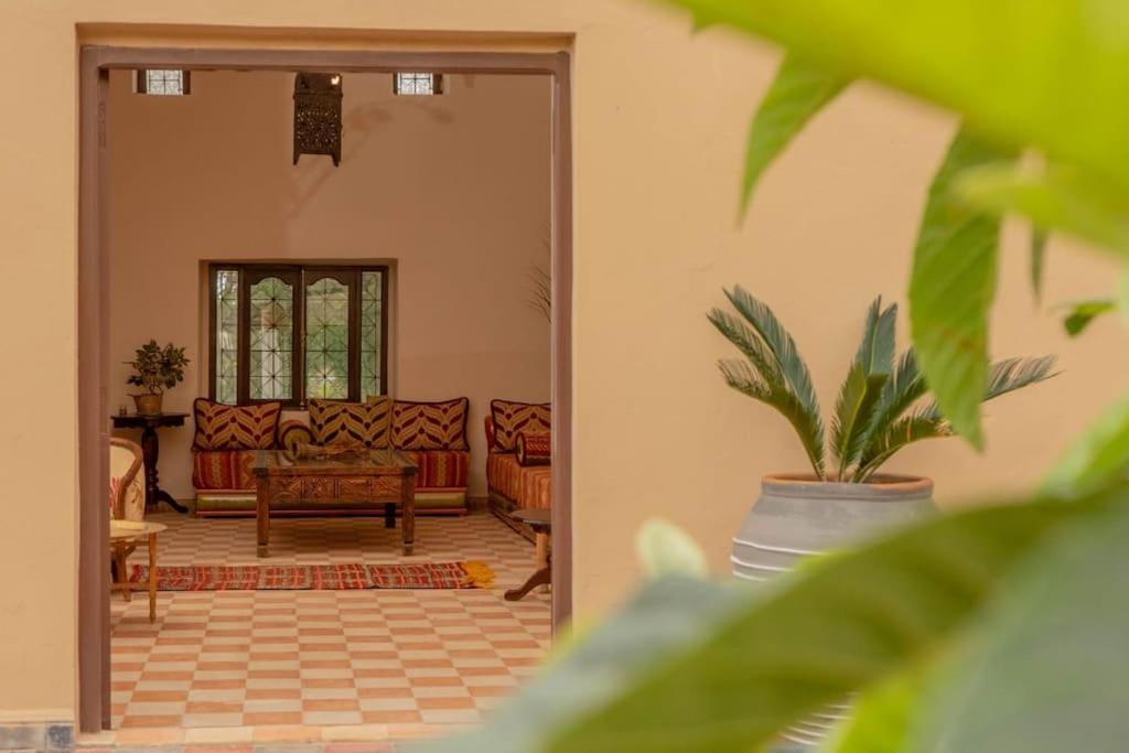 Apartment with Terrace photo 1