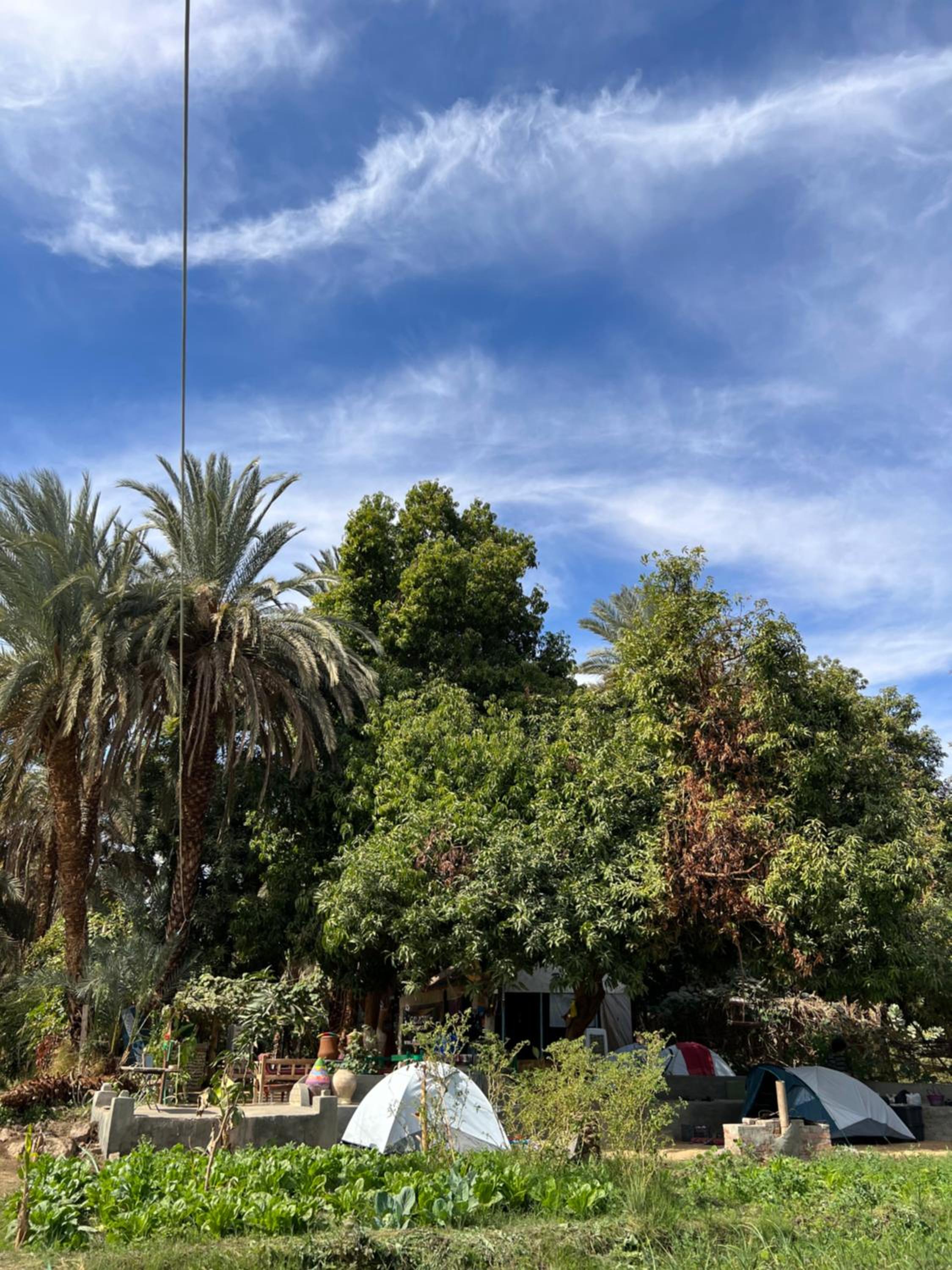 Tent photo 2