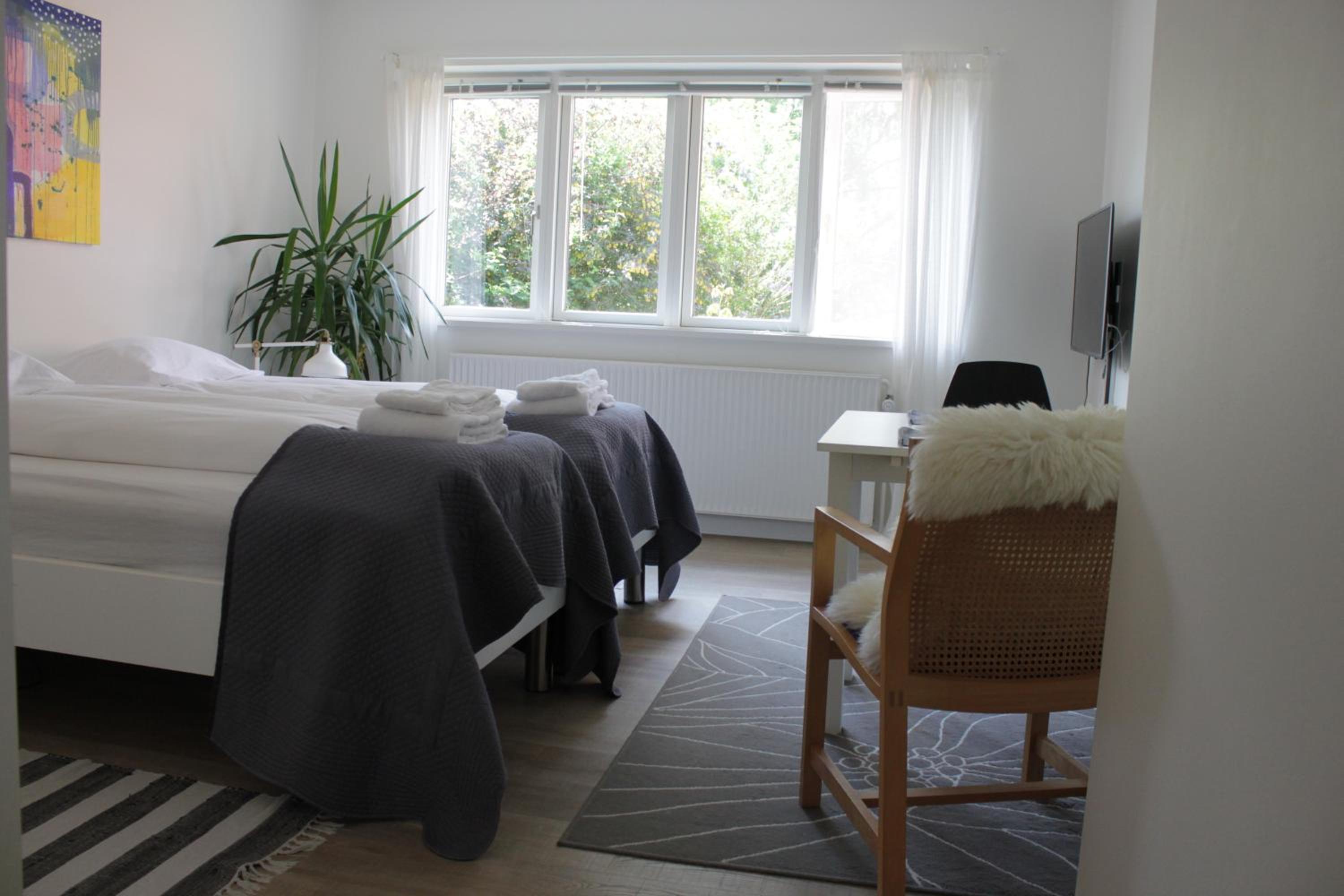 Deluxe Double or Twin Room photo 3