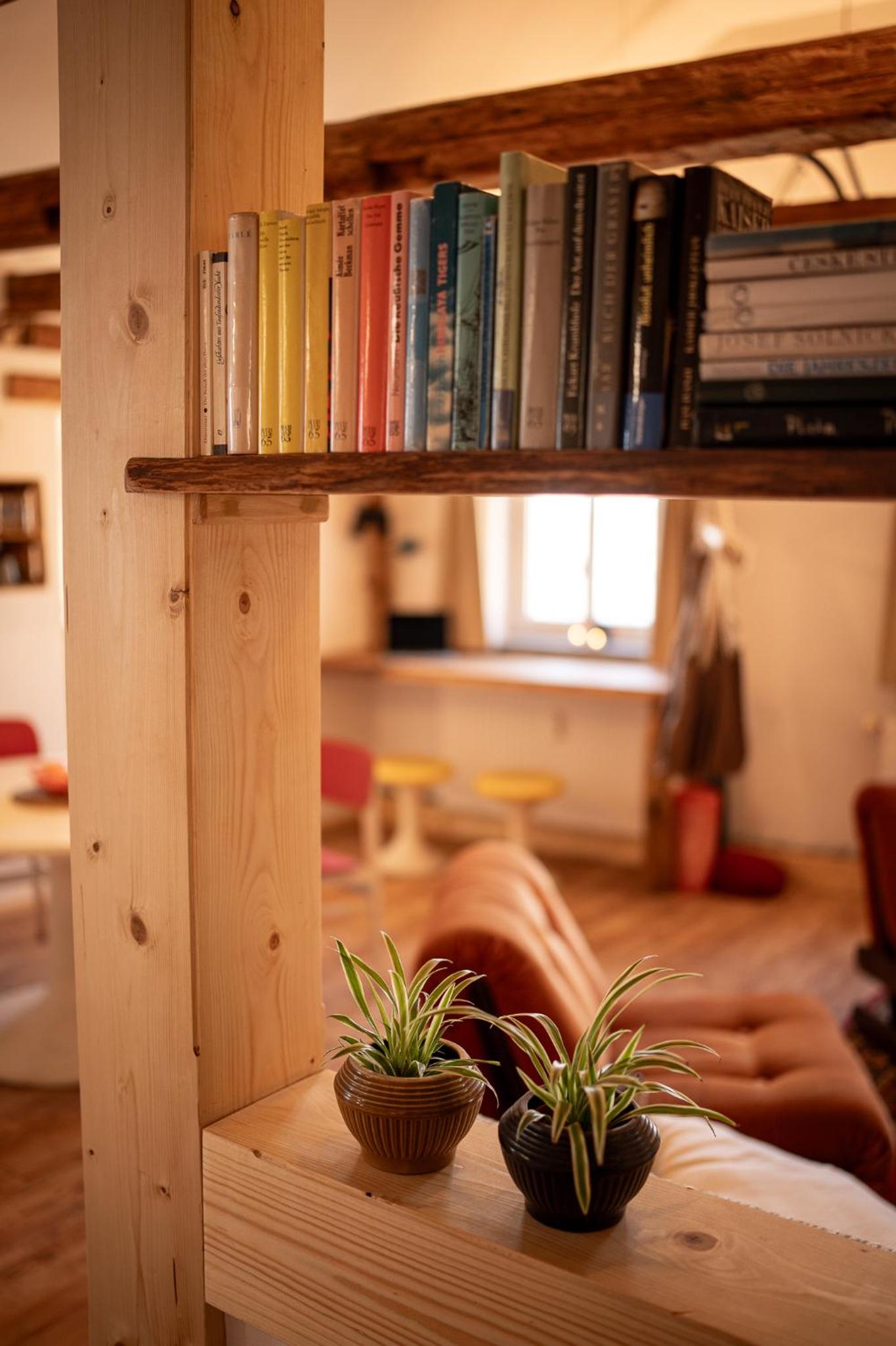 One-Bedroom Apartment photo 2