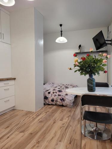 Studio Apartment - Photo 10