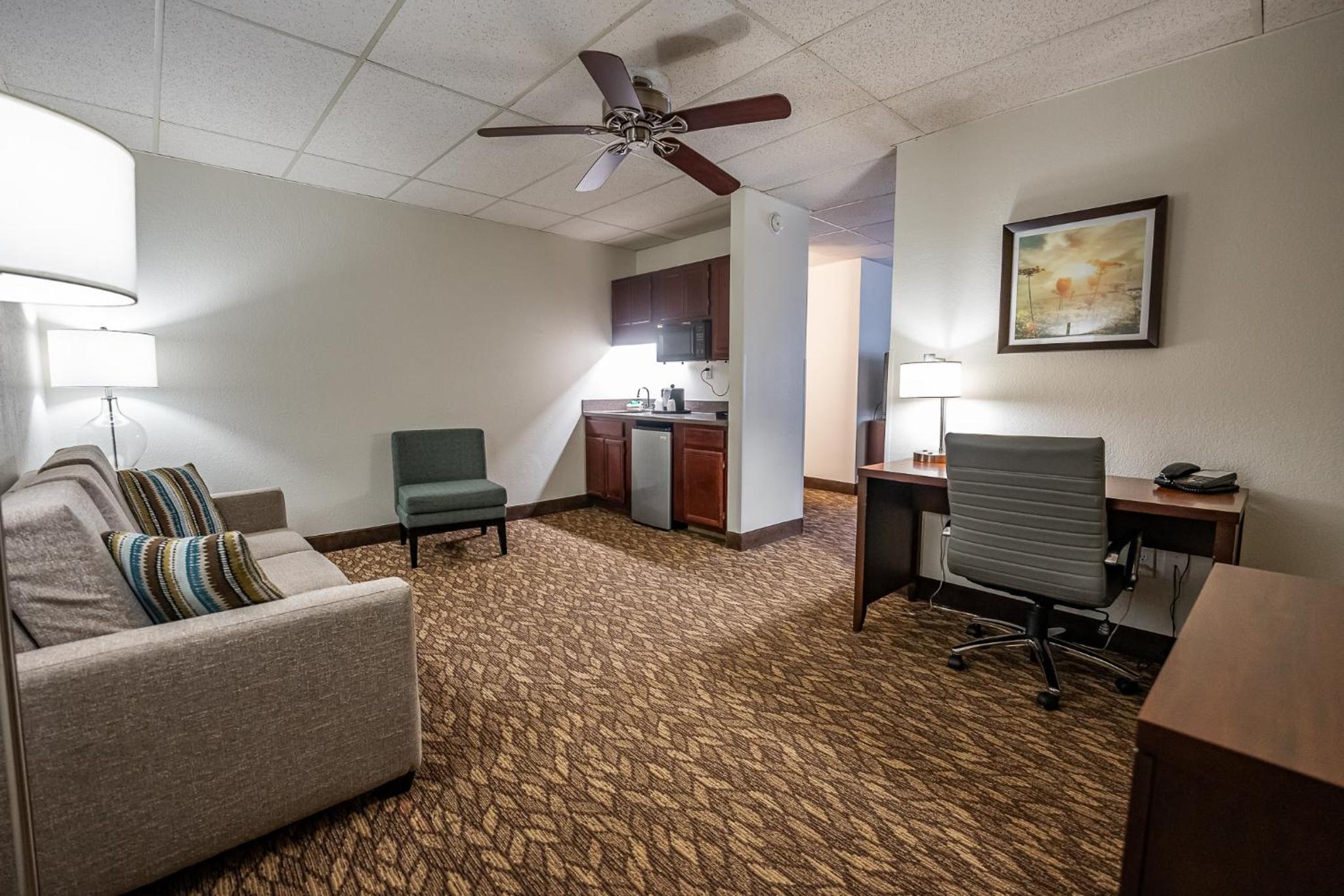 Deluxe King Suite