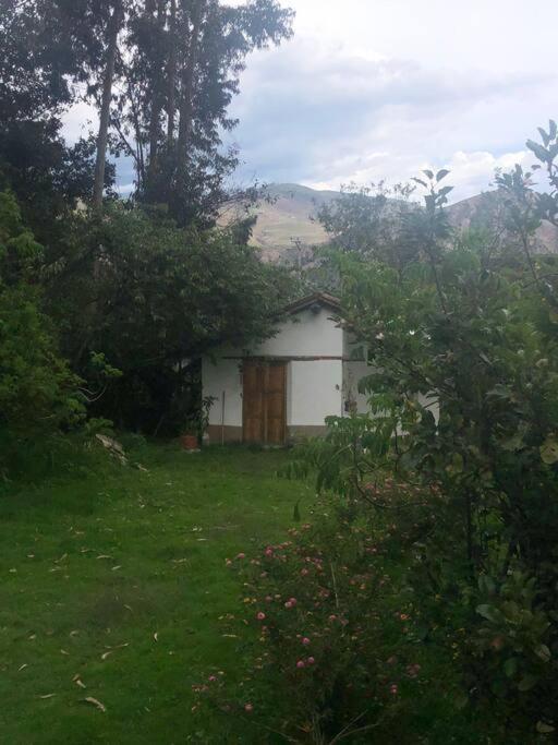 One-Bedroom House photo 2