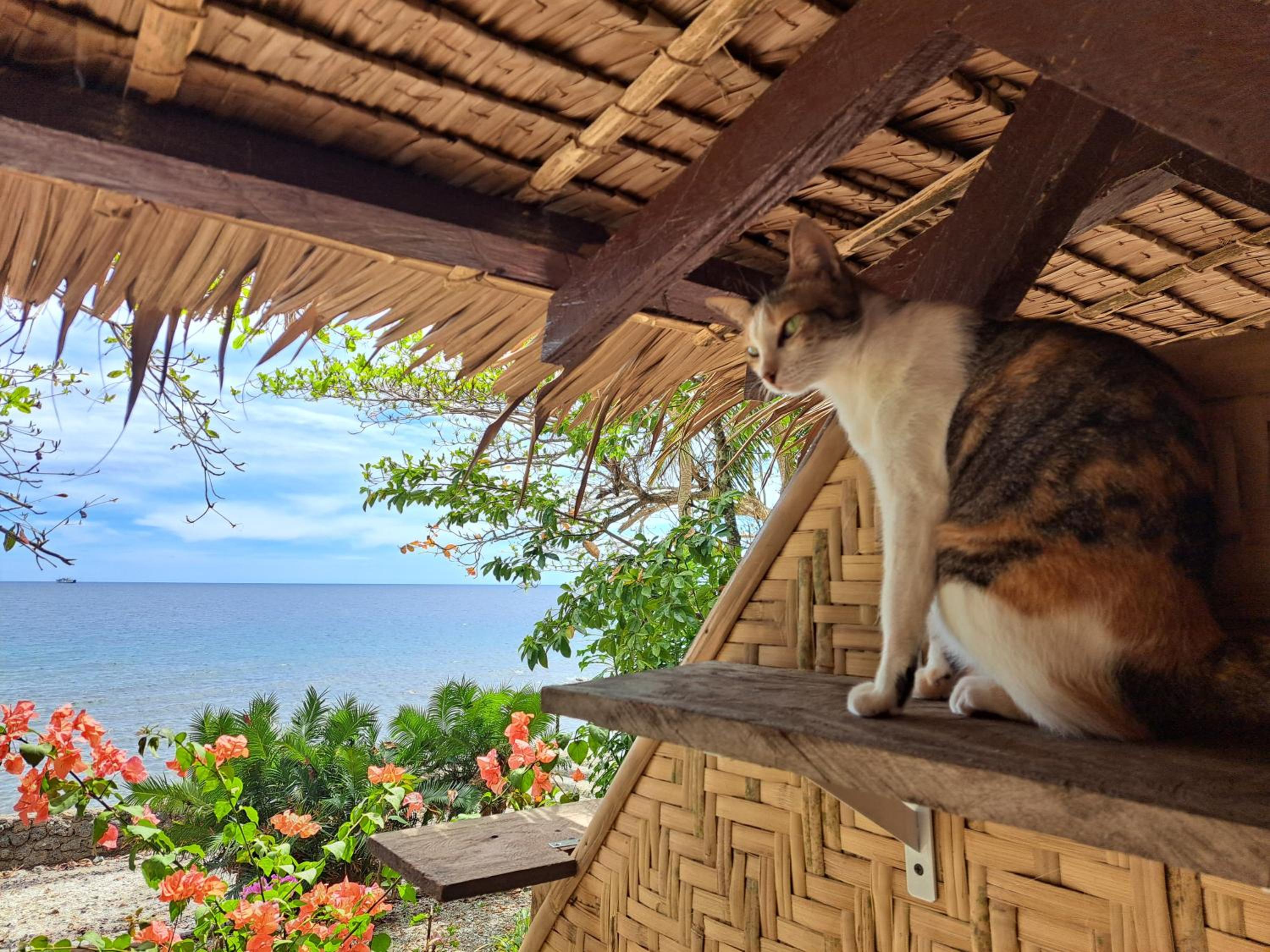 Deluxe Double or Twin Room with Sea View - Photo 9