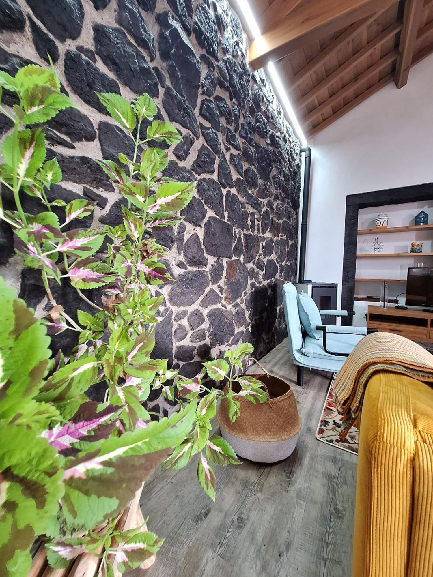 Two-Bedroom House photo 2