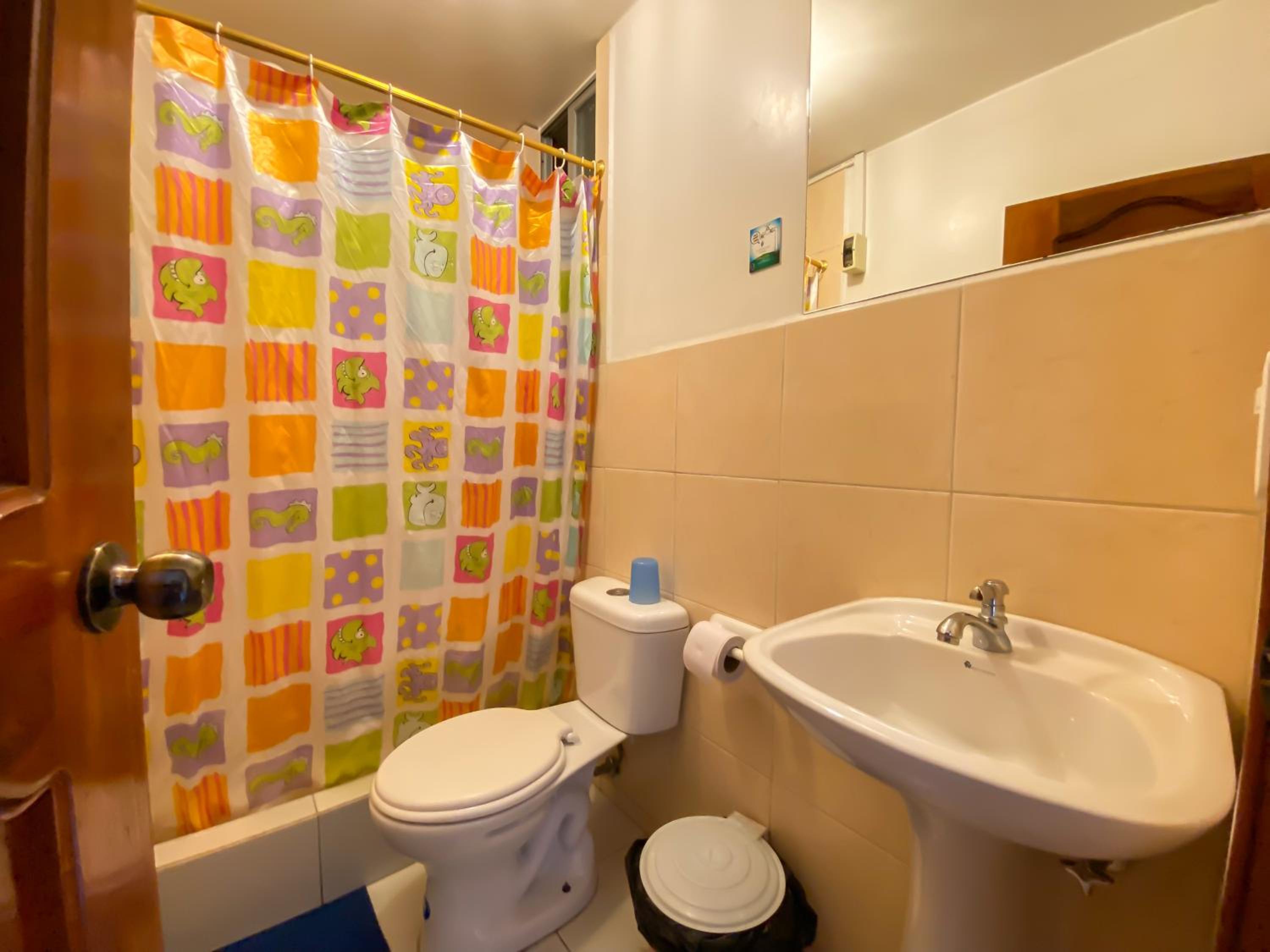 Single Room photo 2