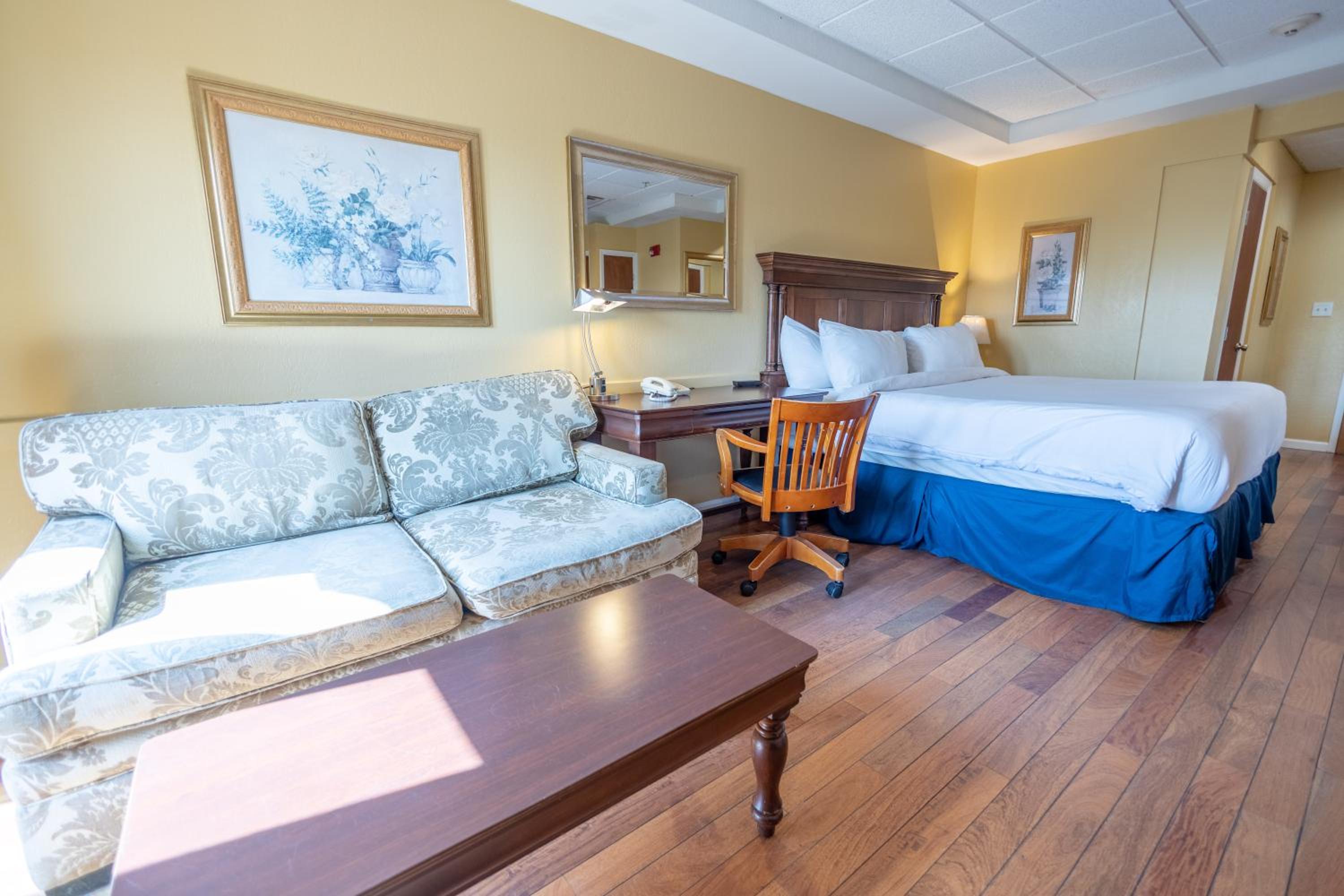 King Room with Garden View