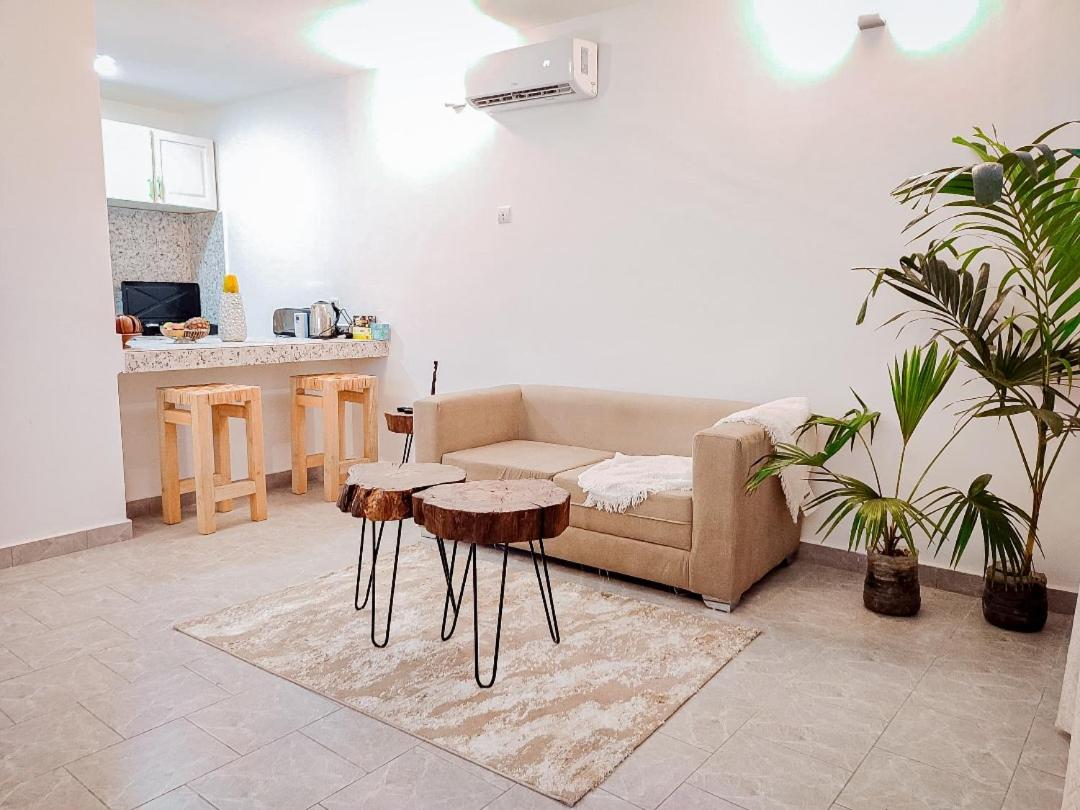 Duplex Apartment photo 1