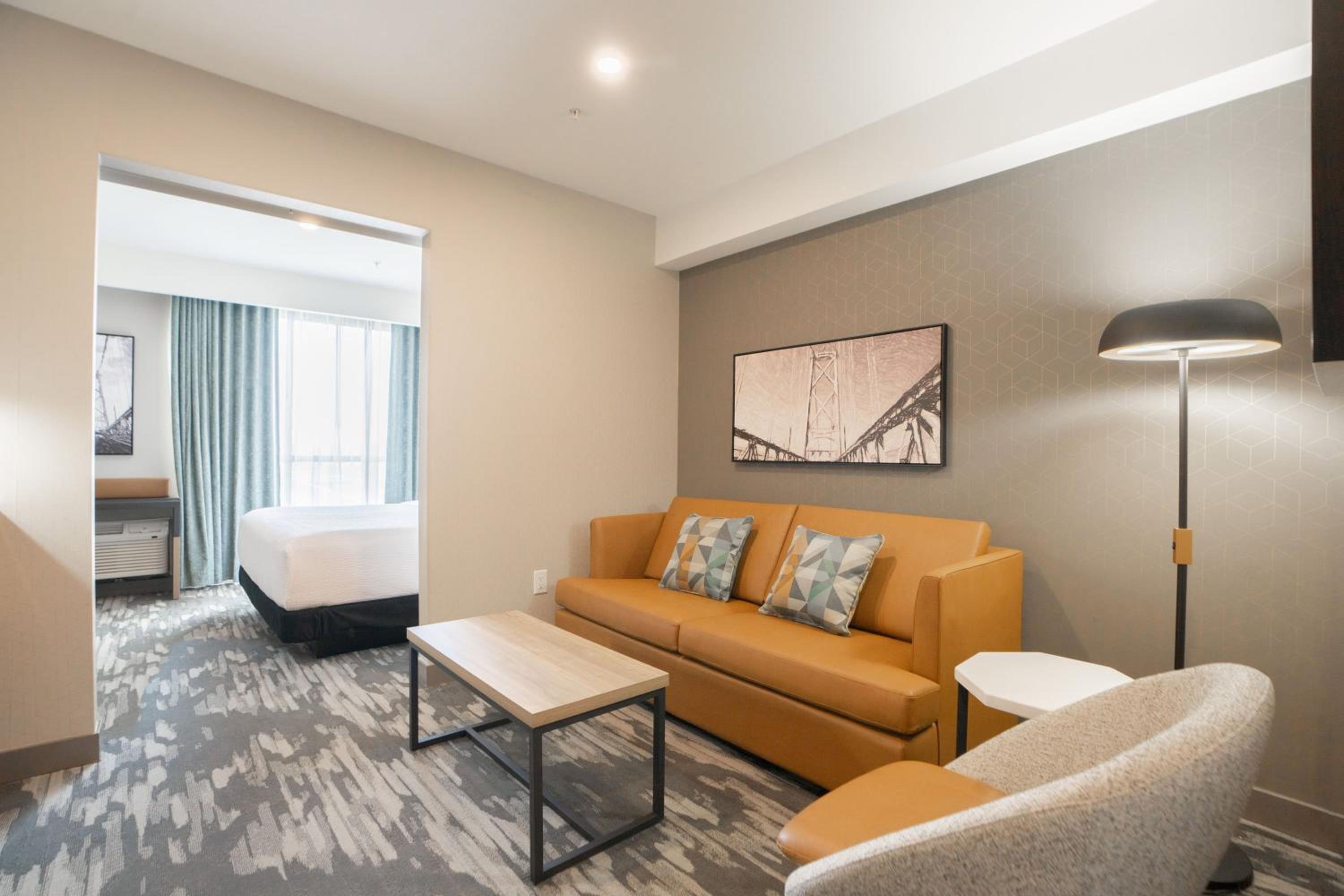 Standard Suite, 1 King Bed, Sofa Bed, Kitchen photo 3