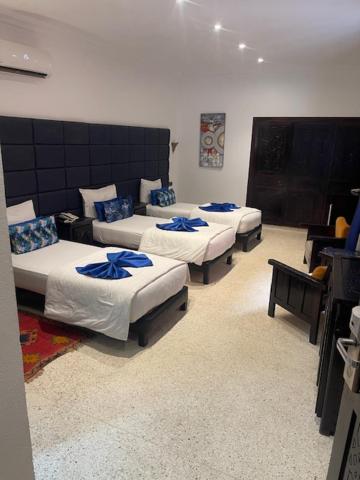 Triple Room - Photo 8