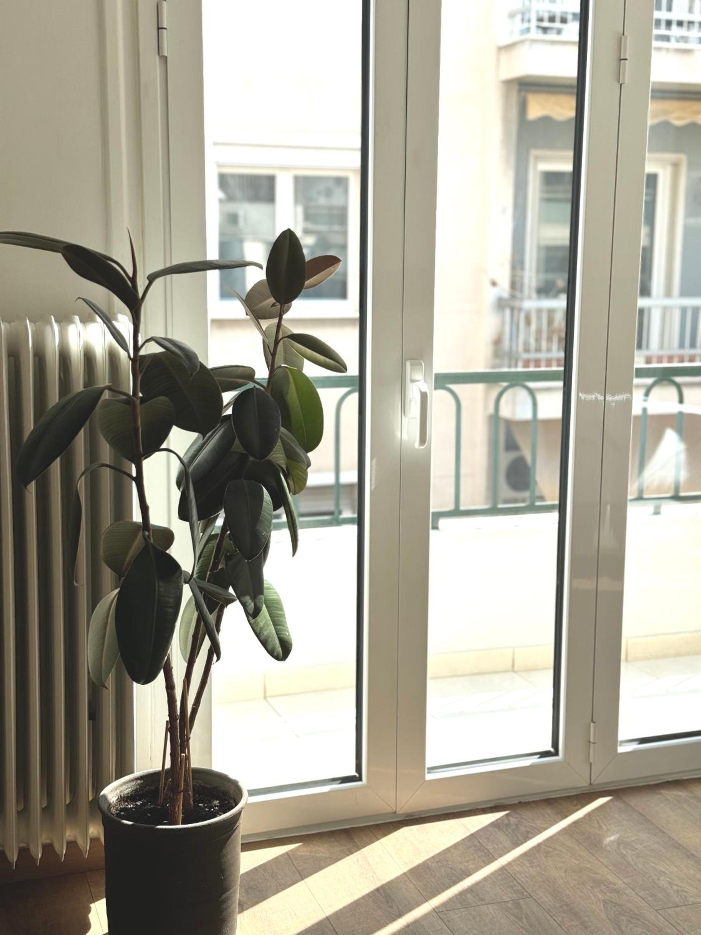 Deluxe Double Or Twin Room With Balcony photo 2