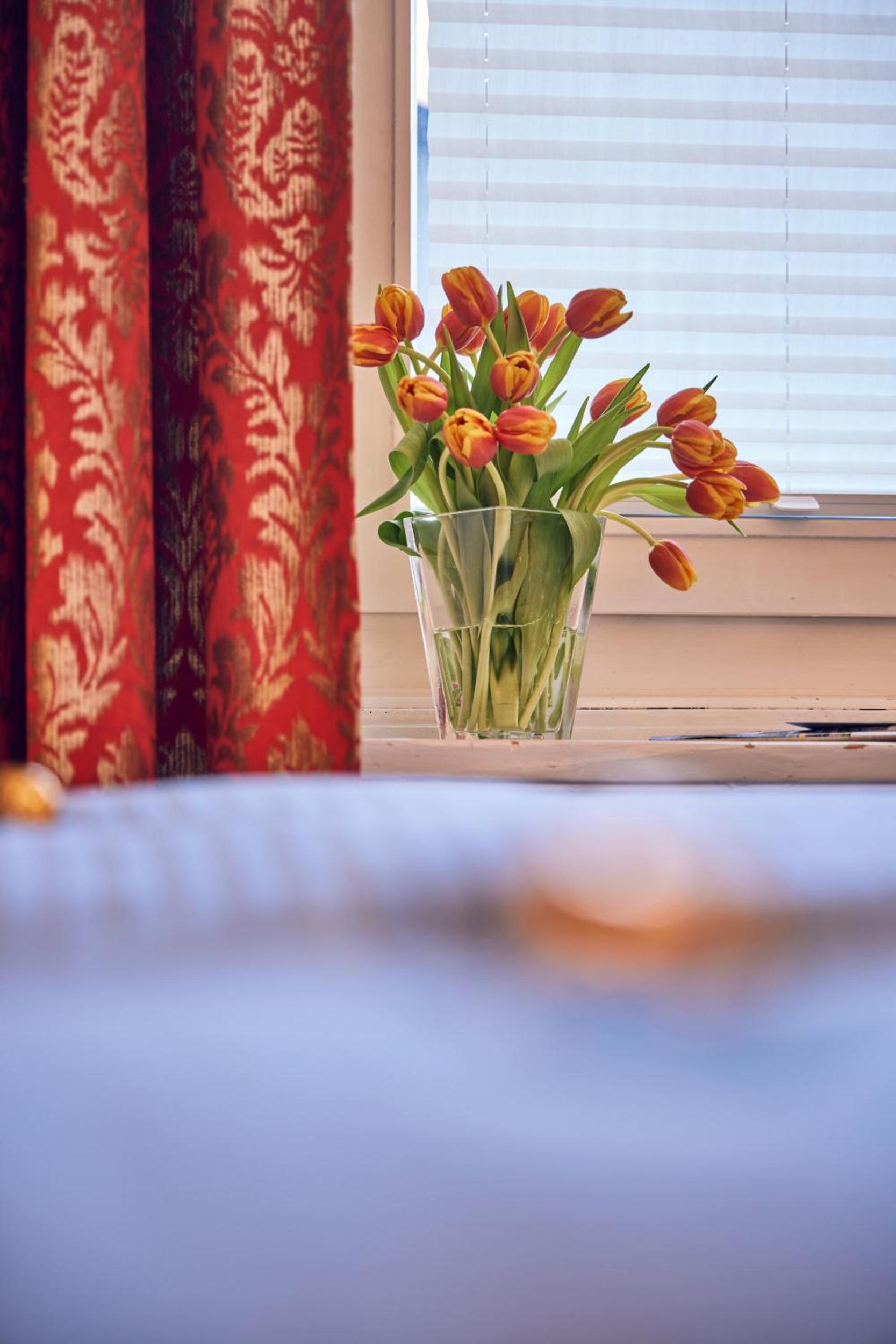 Superior Single Room photo 3