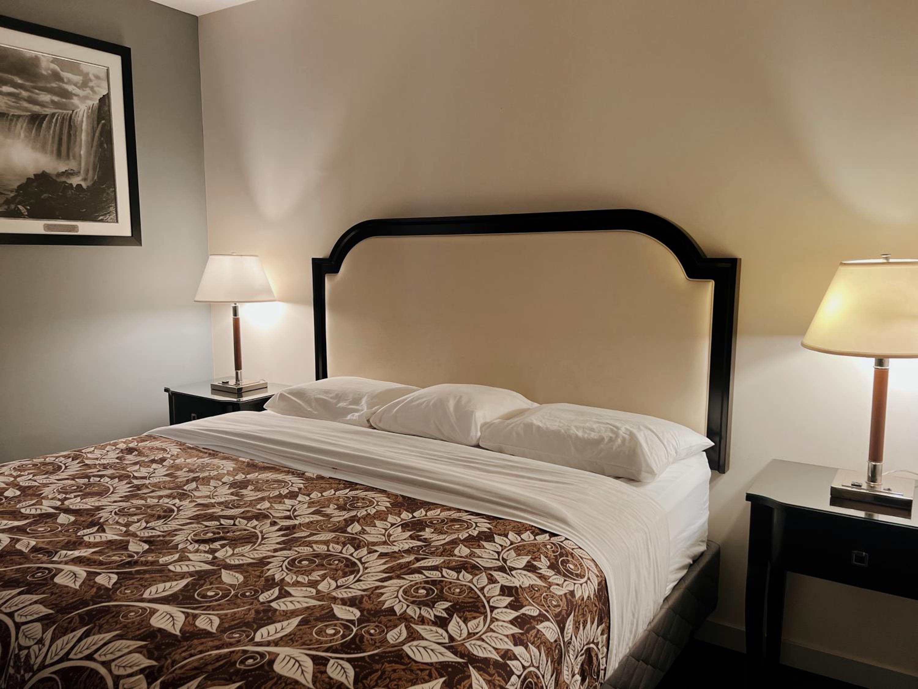 Large Single Room photo 1