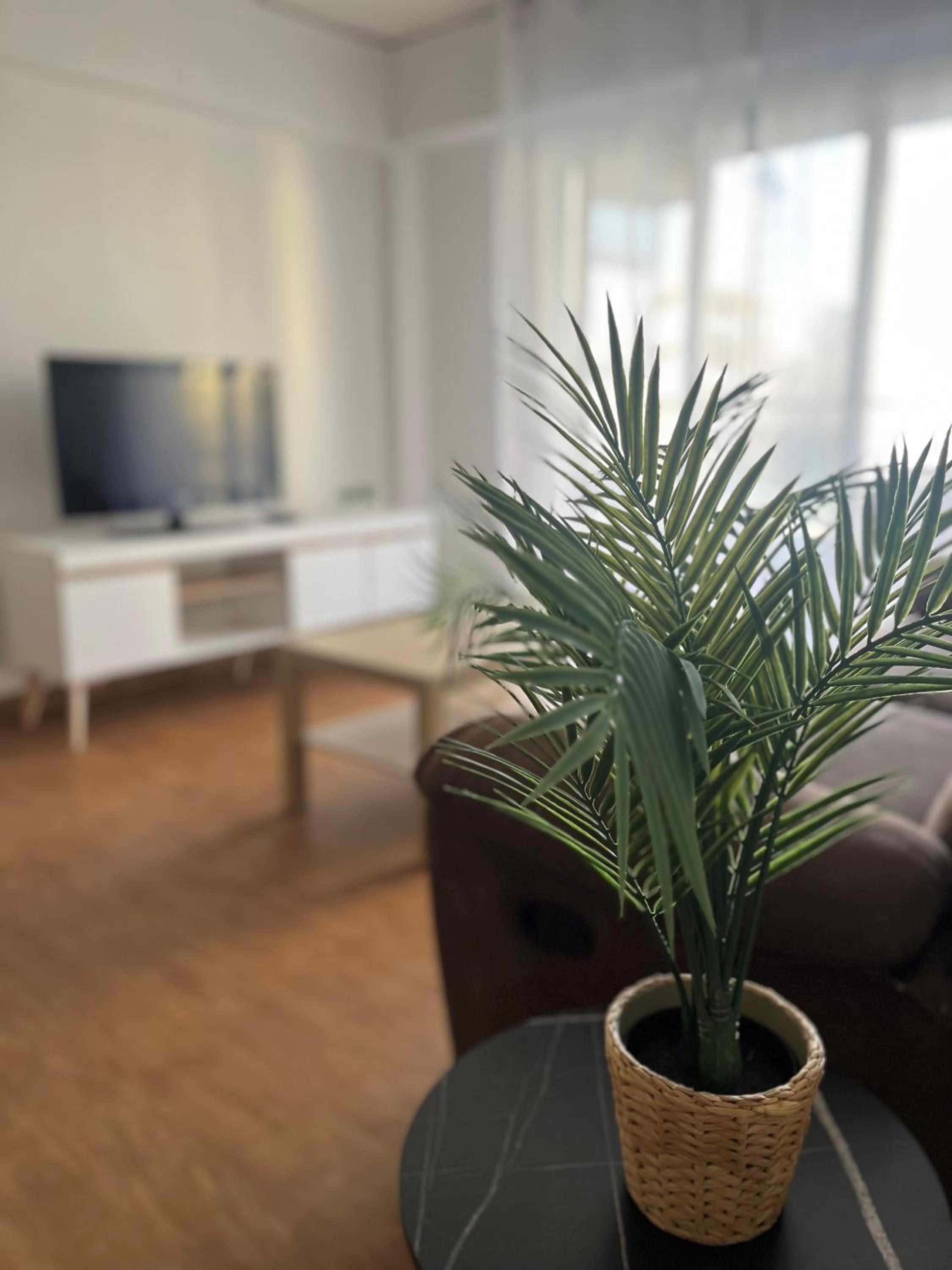 Apartamento de Tres Habitaciones