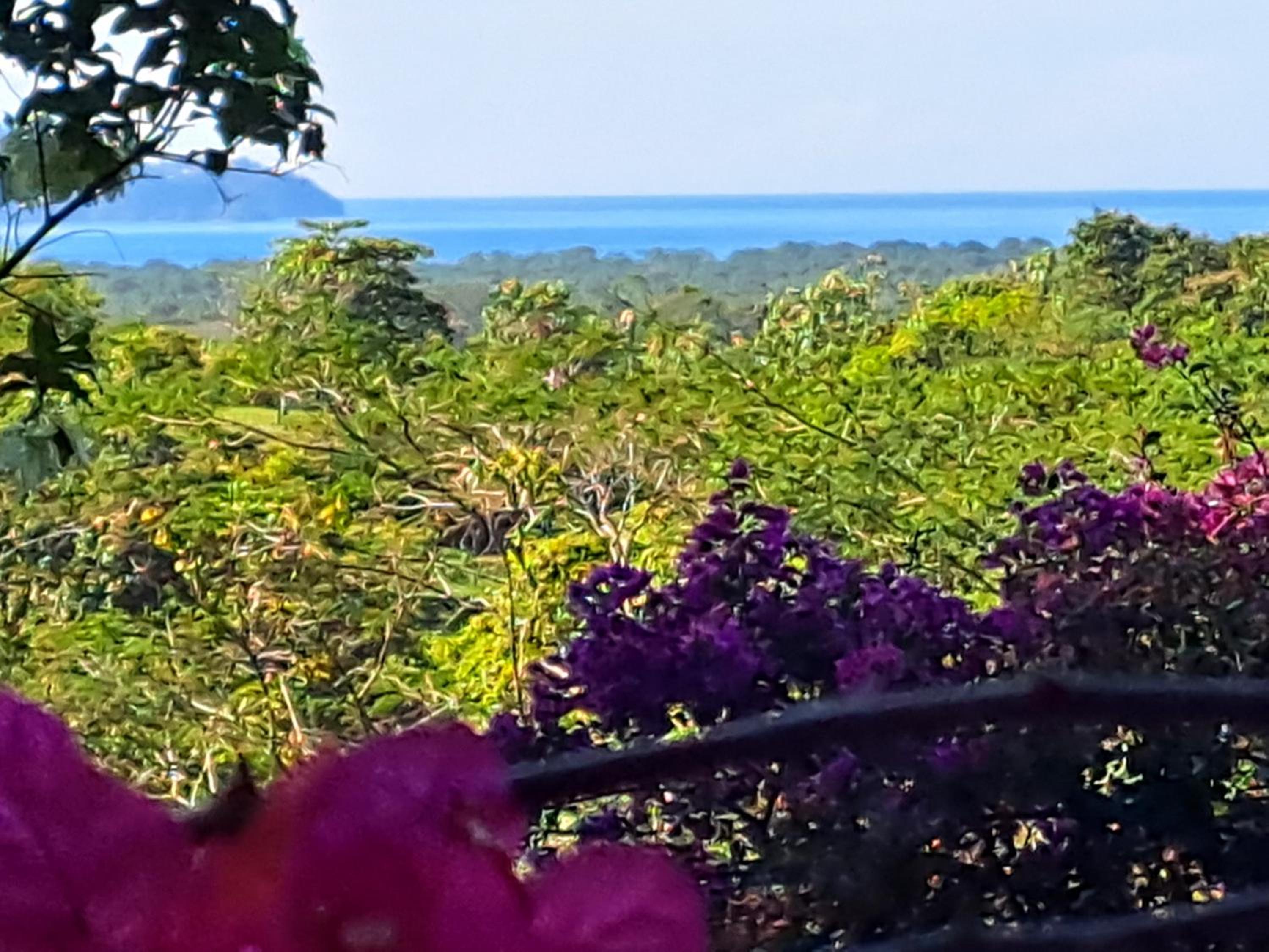 Deluxe Double Room With Balcony And Sea View photo 3