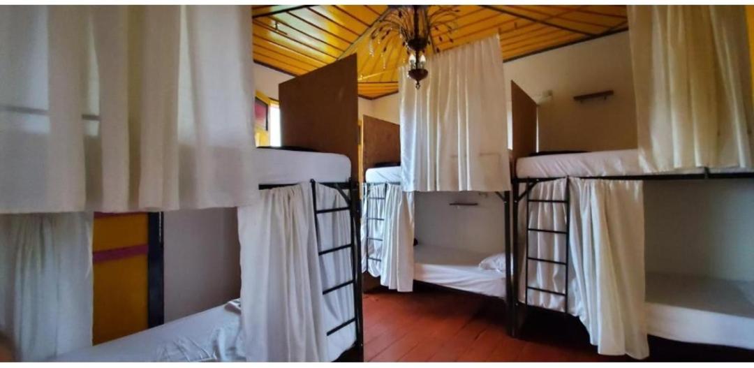 Bunk Bed In Mixed Dormitory Room photo 1