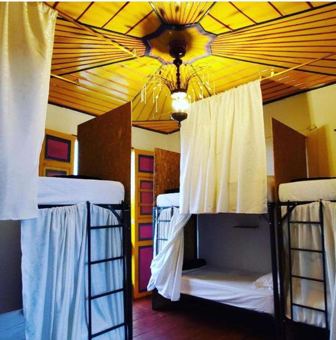 Bunk Bed In Mixed Dormitory Room photo 2