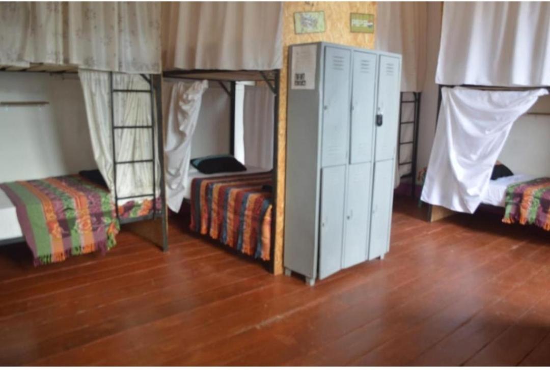 Bunk Bed In Mixed Dormitory Room photo 3