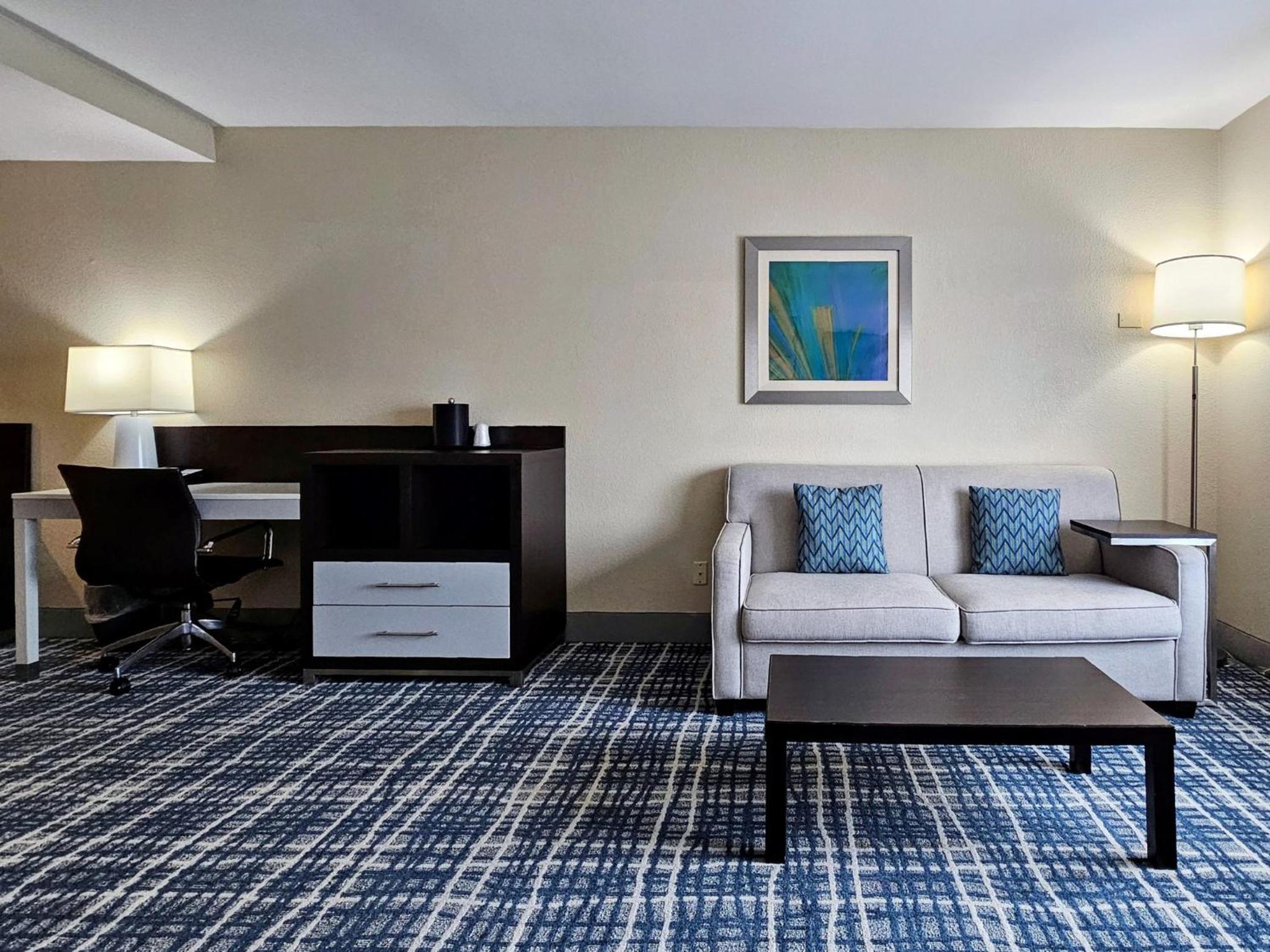 King Suite - Photo 6