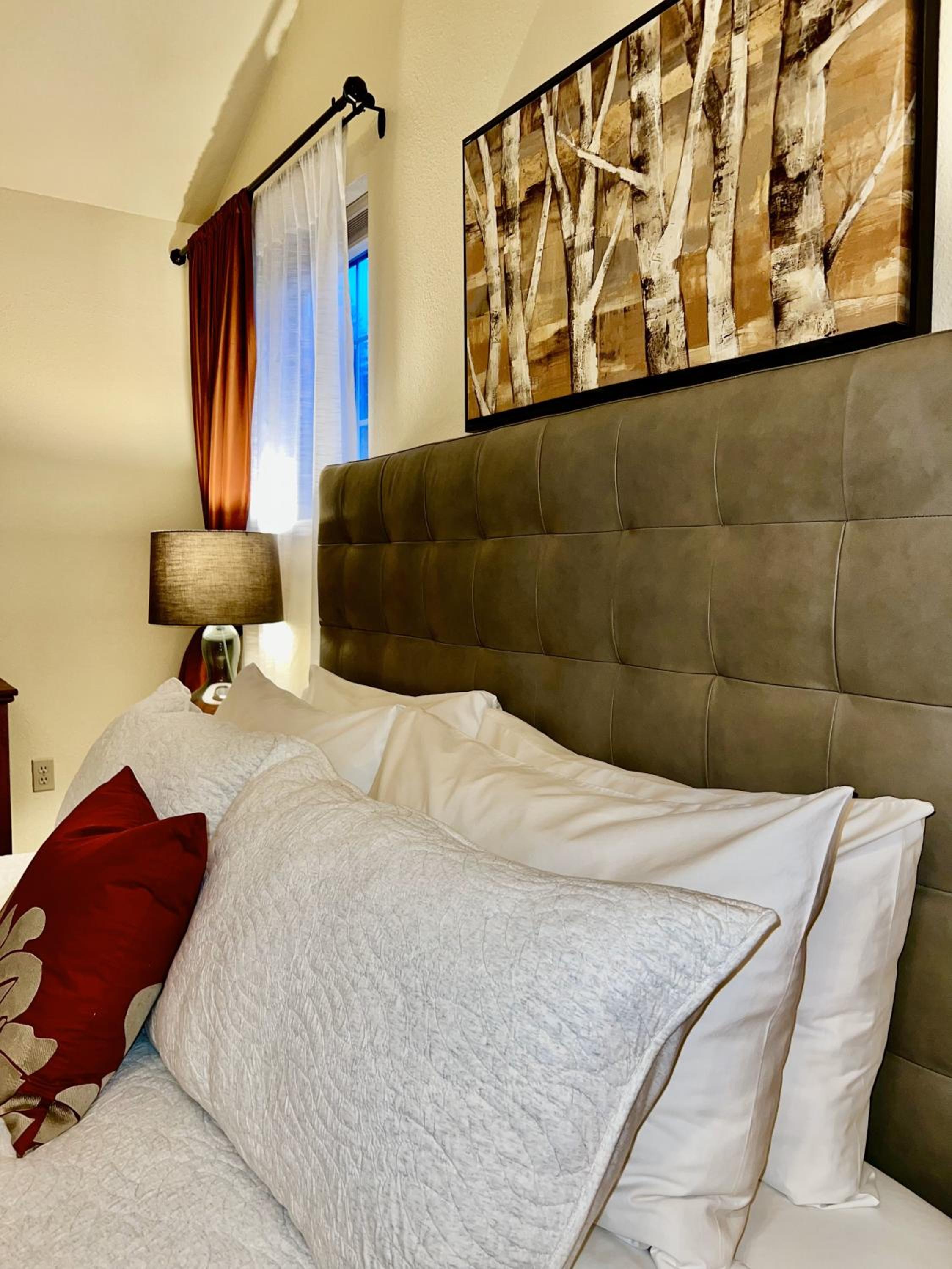 Deluxe King Suite photo 3