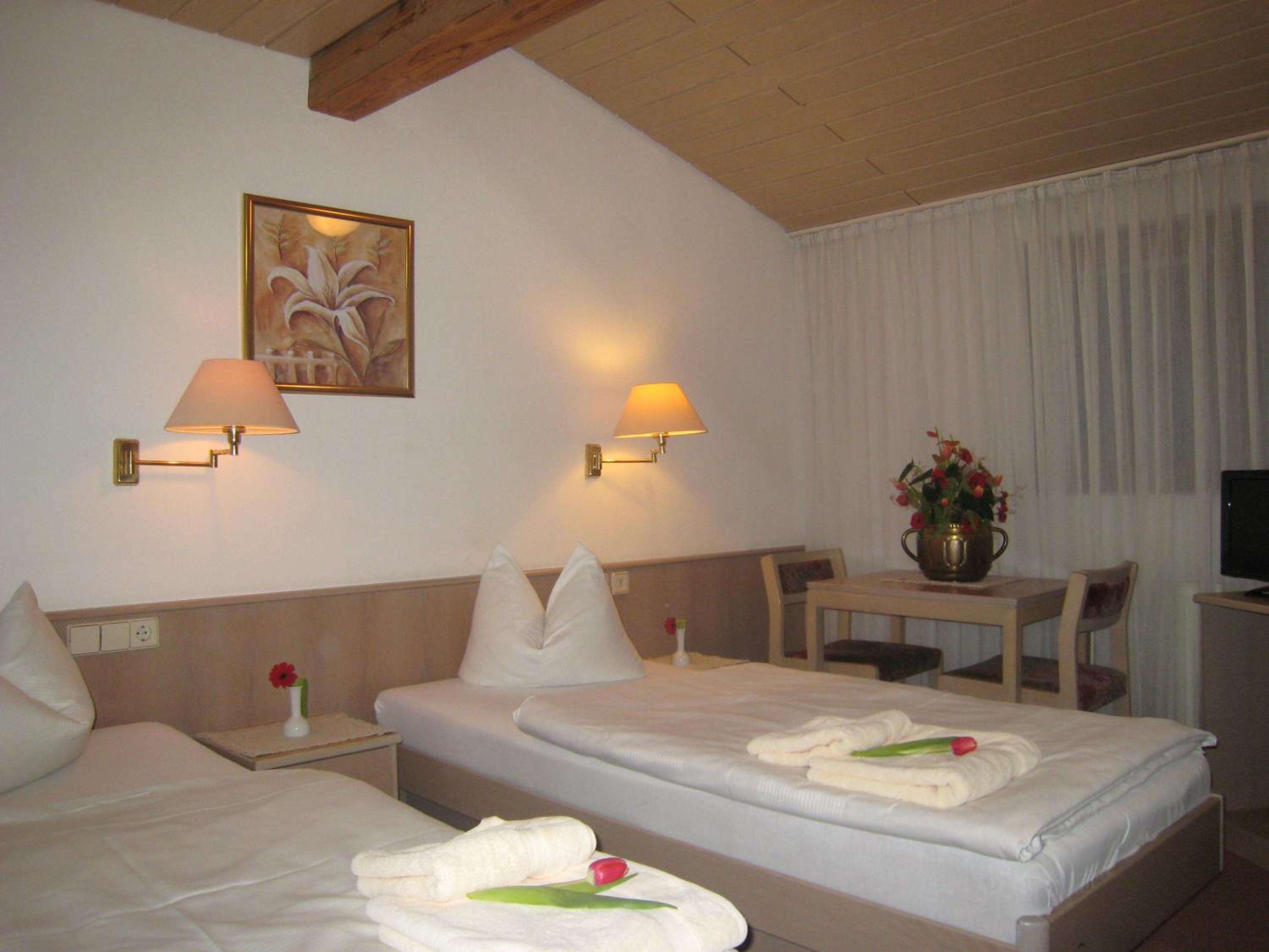 Double or Twin Room photo 1