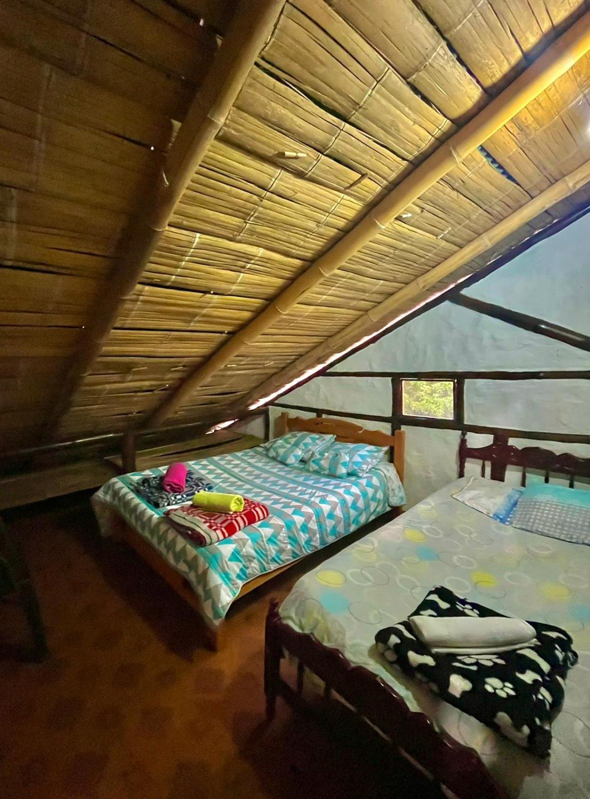 Double Room with Two Double Beds photo 1