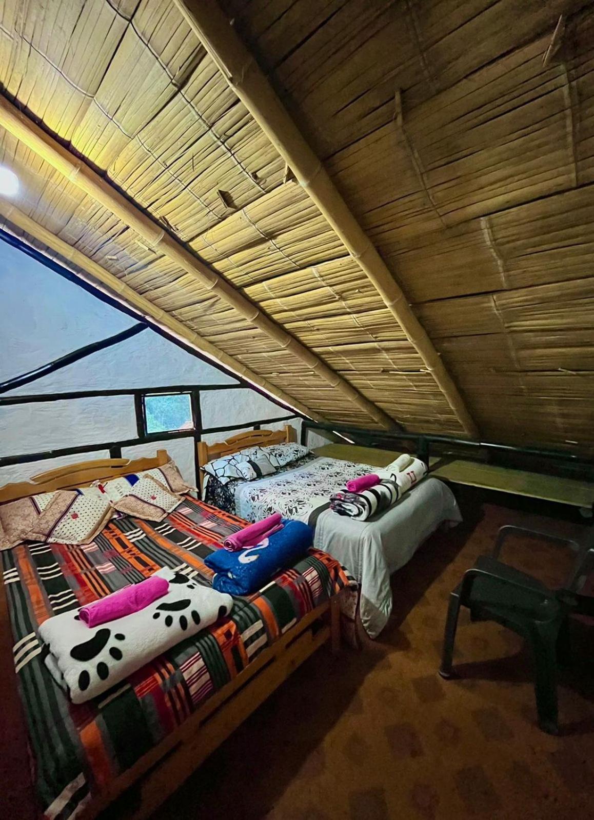 Double Room with Two Double Beds photo 3
