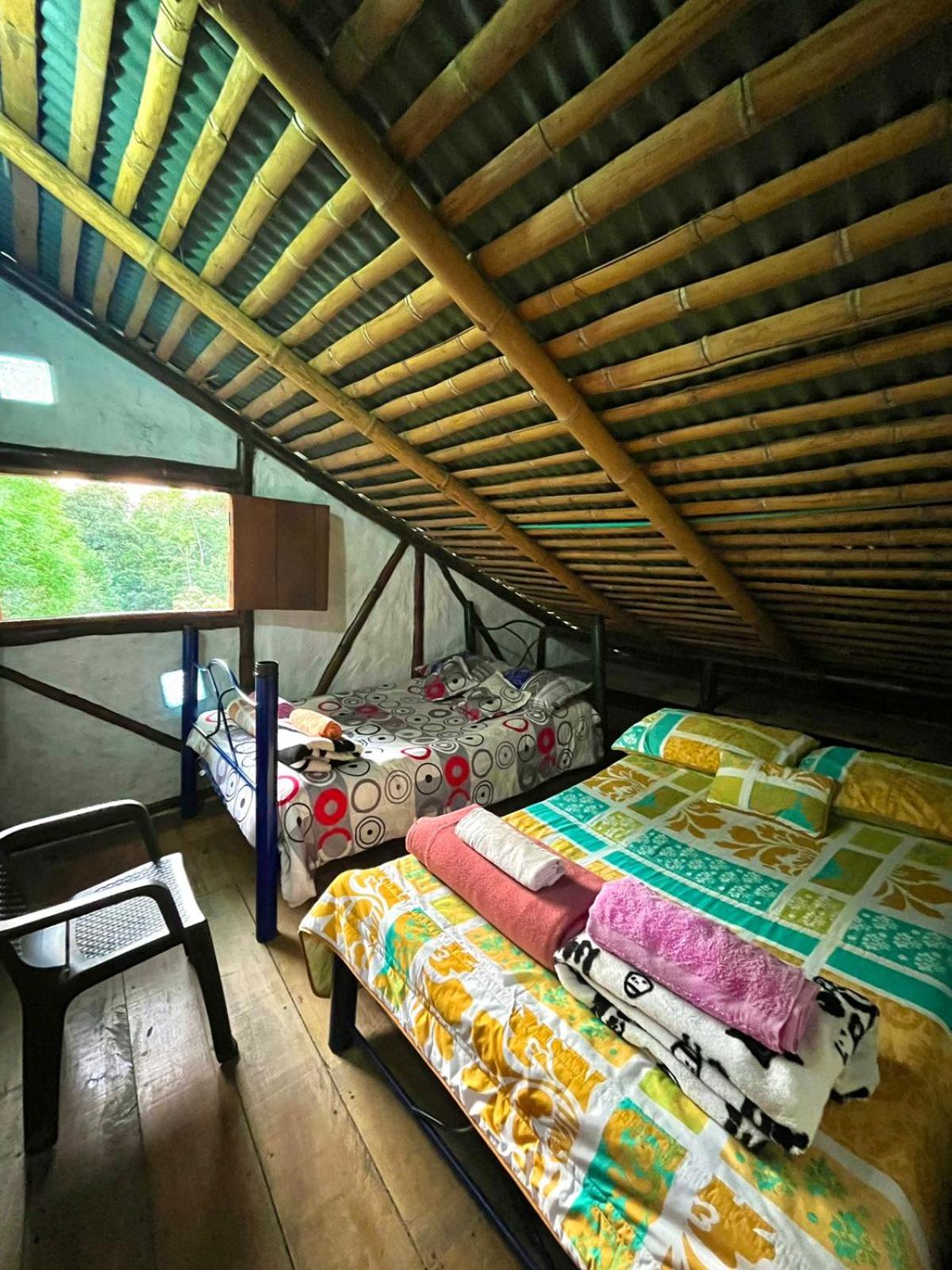 Double Room with Two Double Beds photo 2