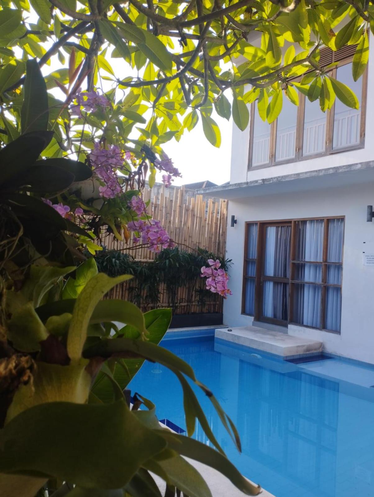 Double Room with Pool View photo 2
