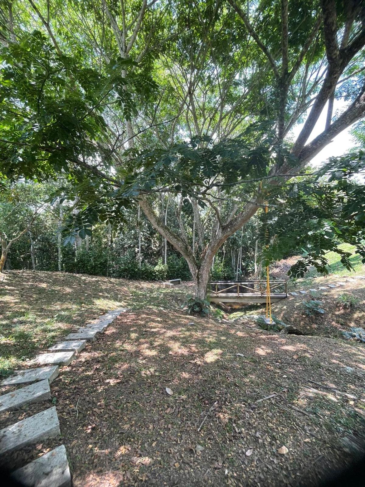 Four-Bedroom House photo 2