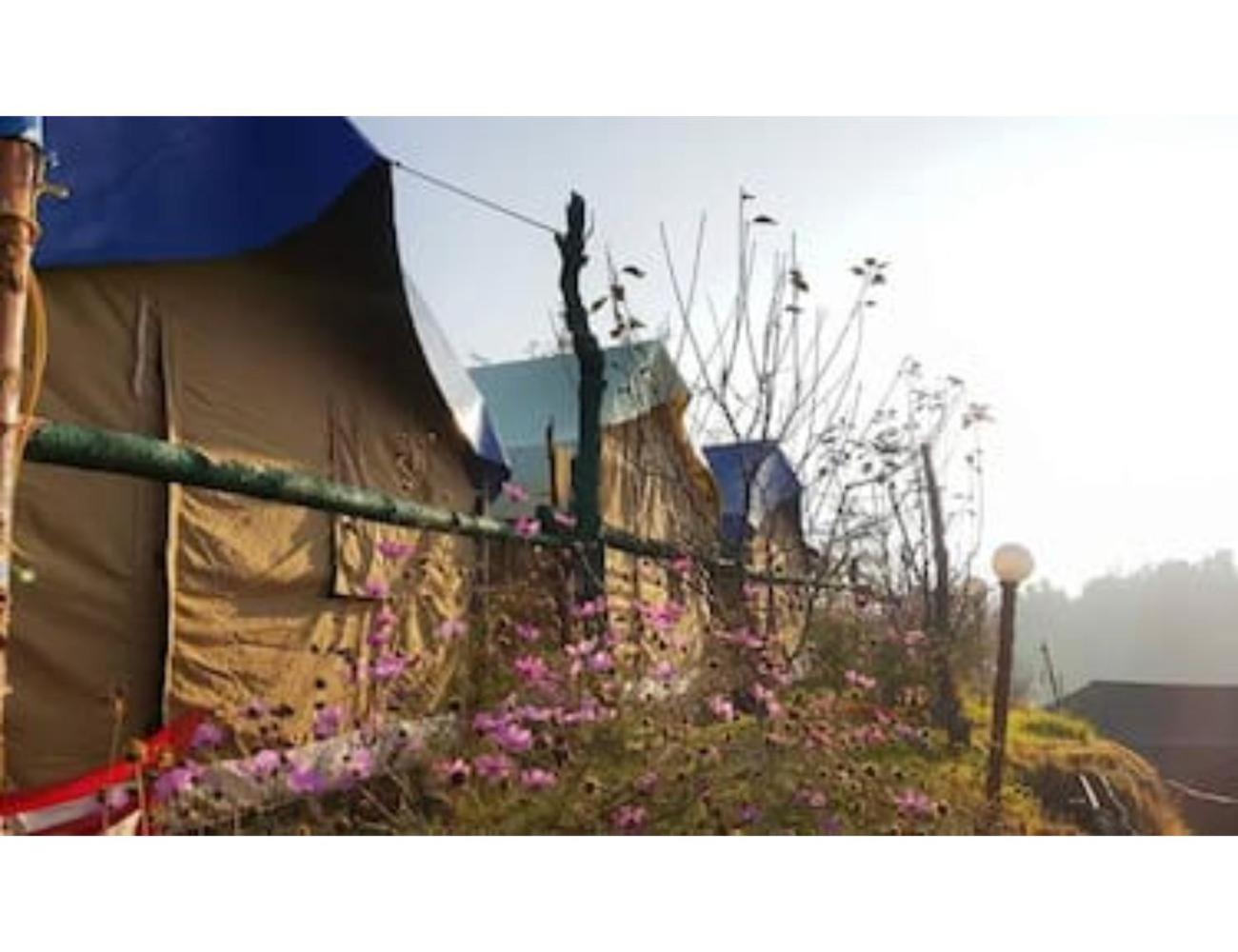 Tent - Photo 2