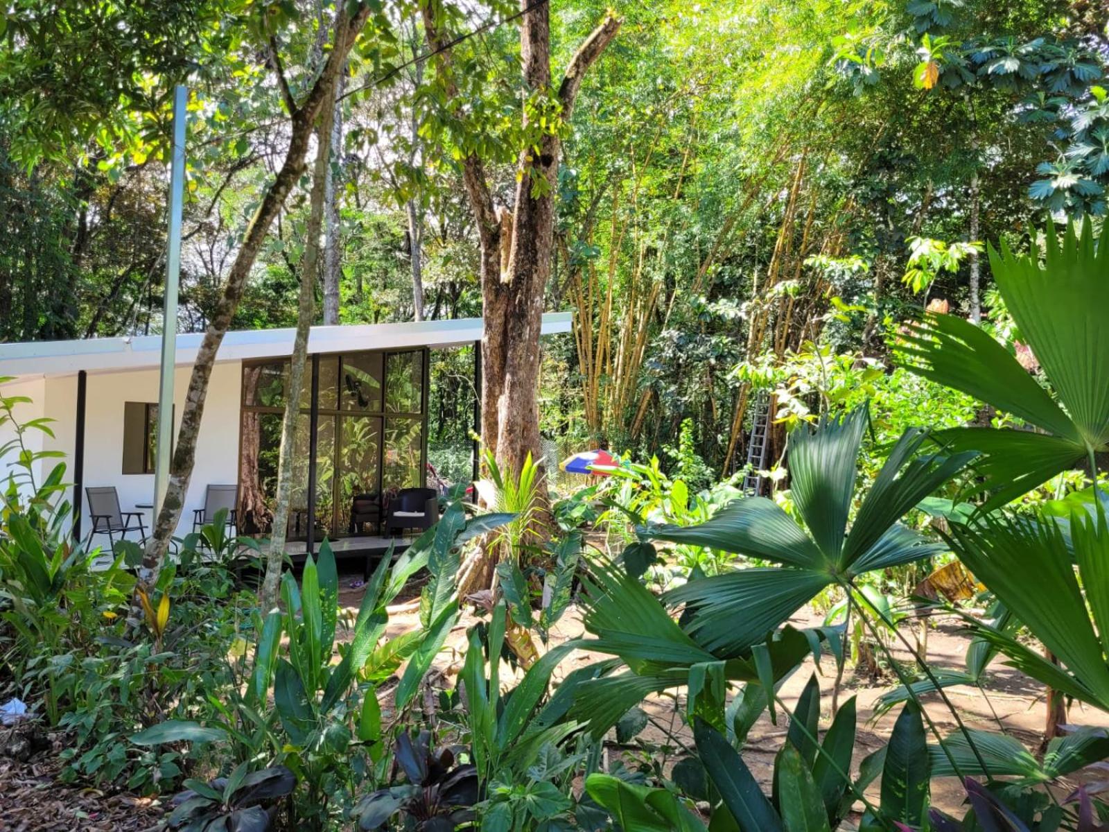 One-Bedroom House photo 2