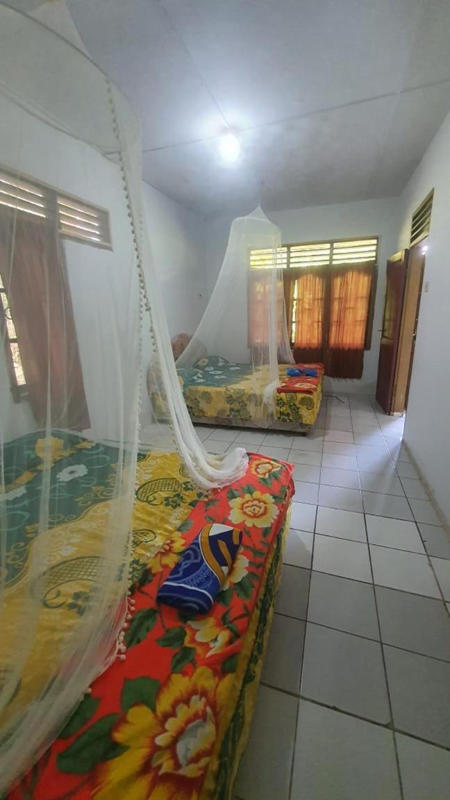 Standard Family Room - Photo 1