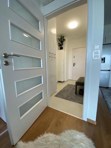 One-Bedroom Apartment photo 3