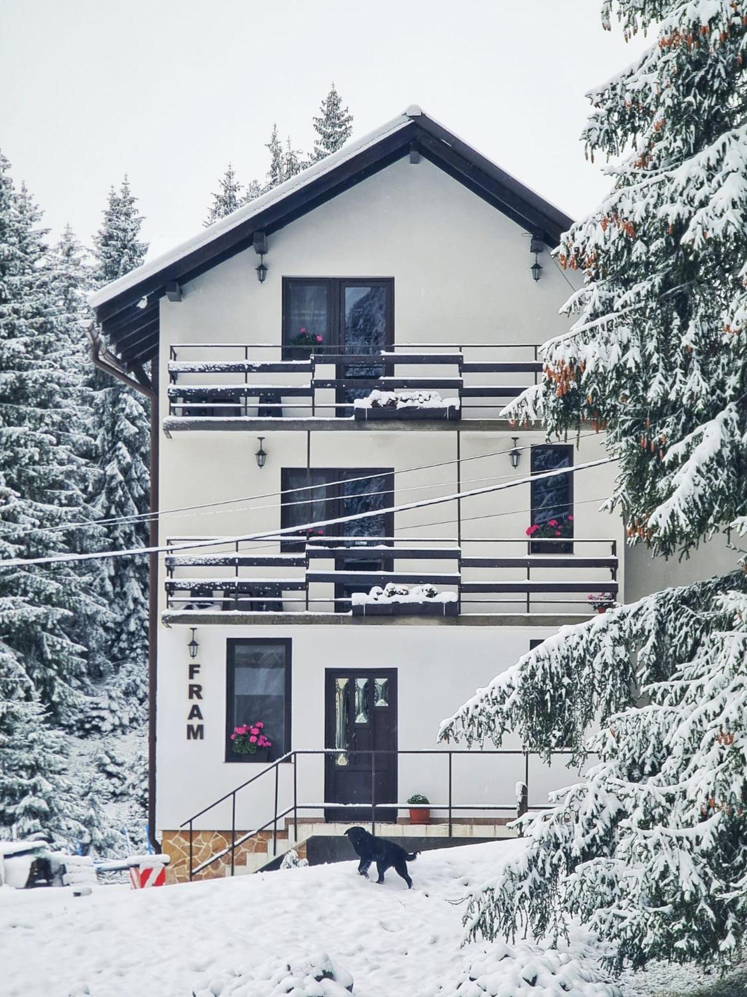 Superior Villa photo 2