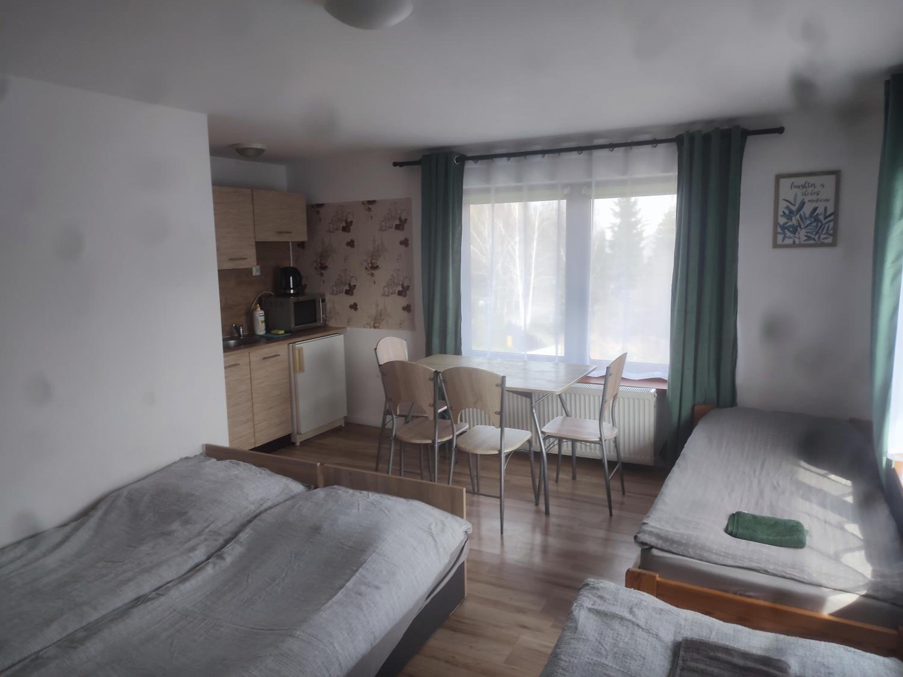 Standard Apartment photo 3