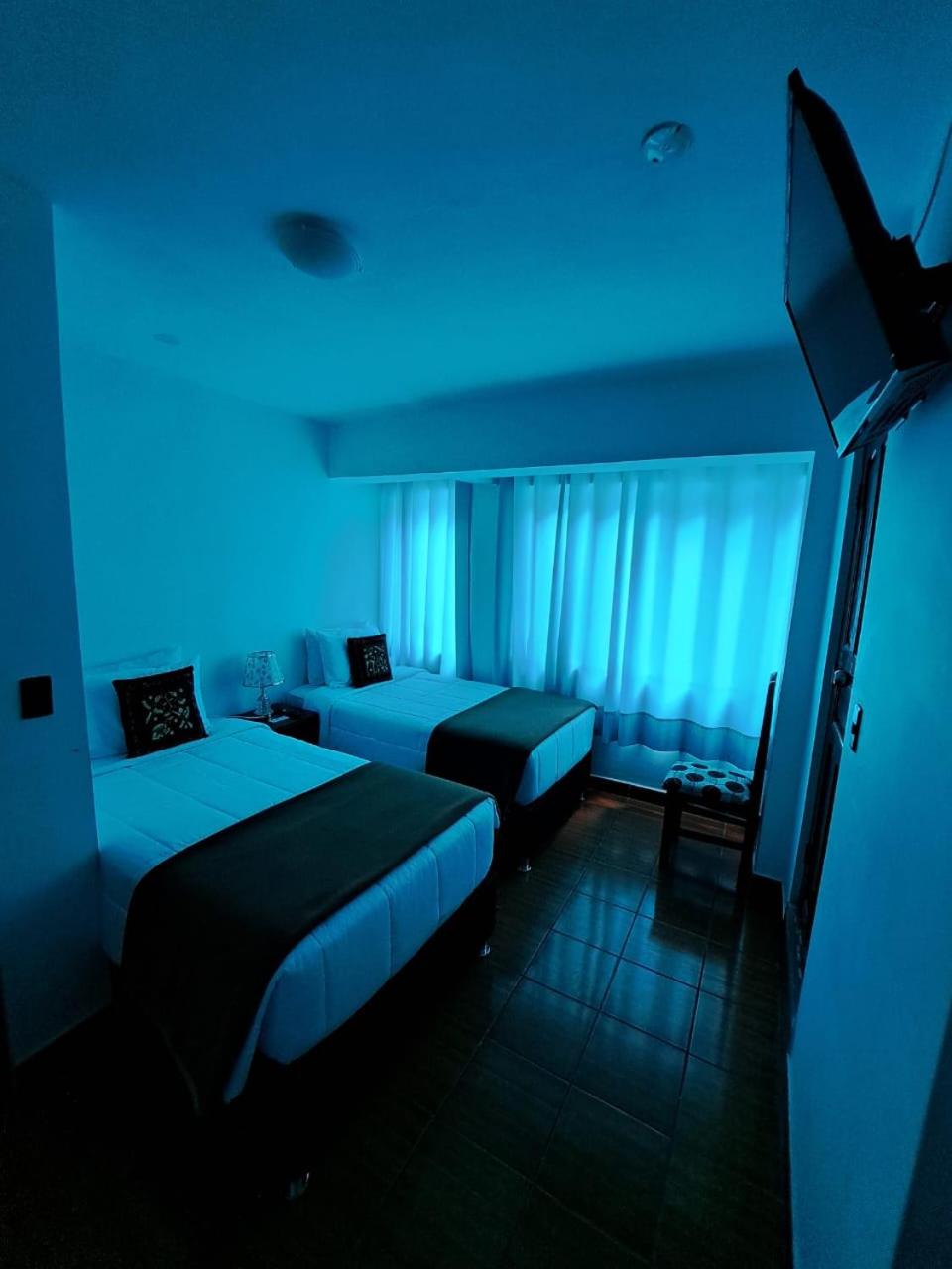 Twin Room photo 3