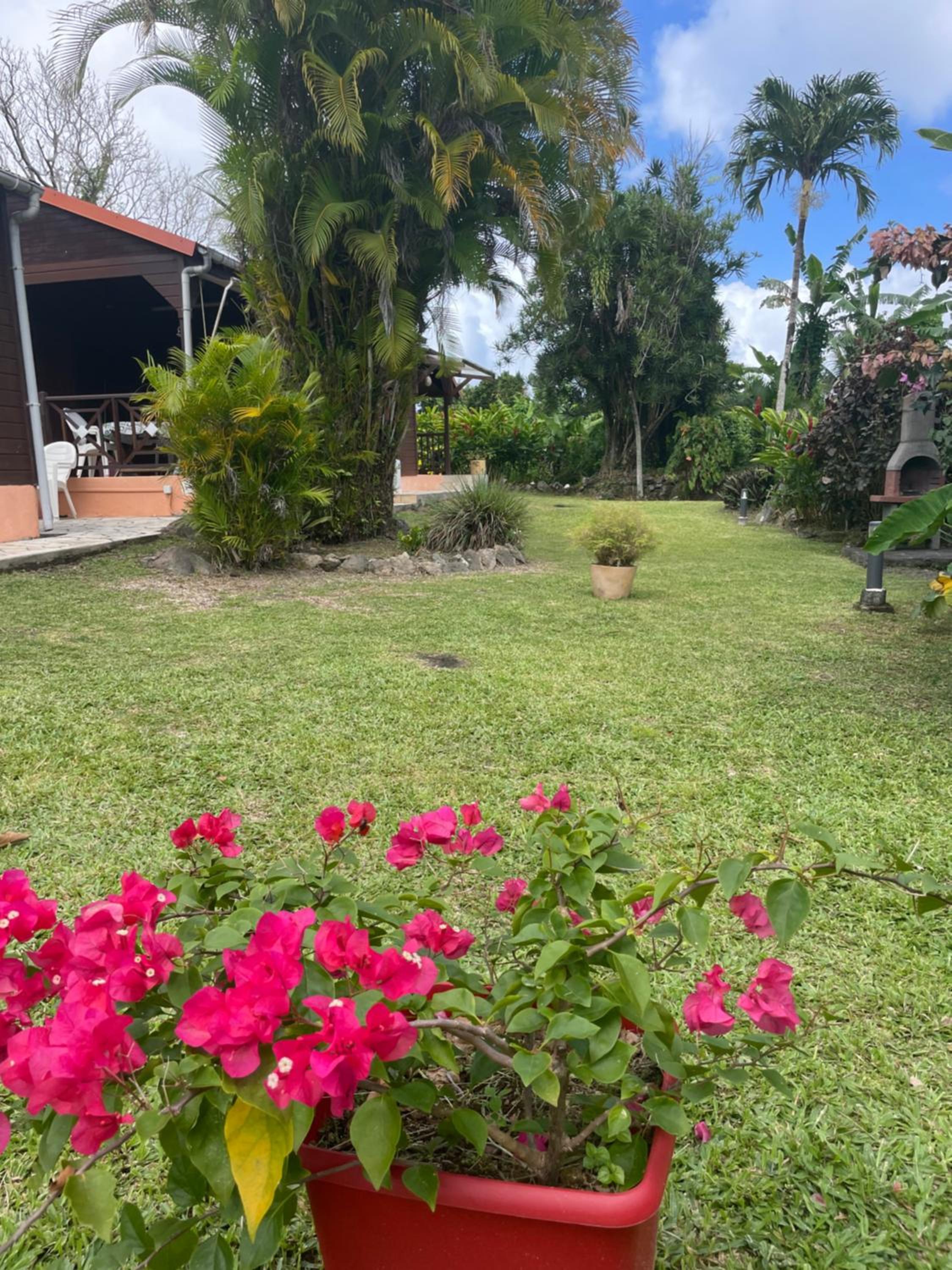 Family Bungalow photo 3