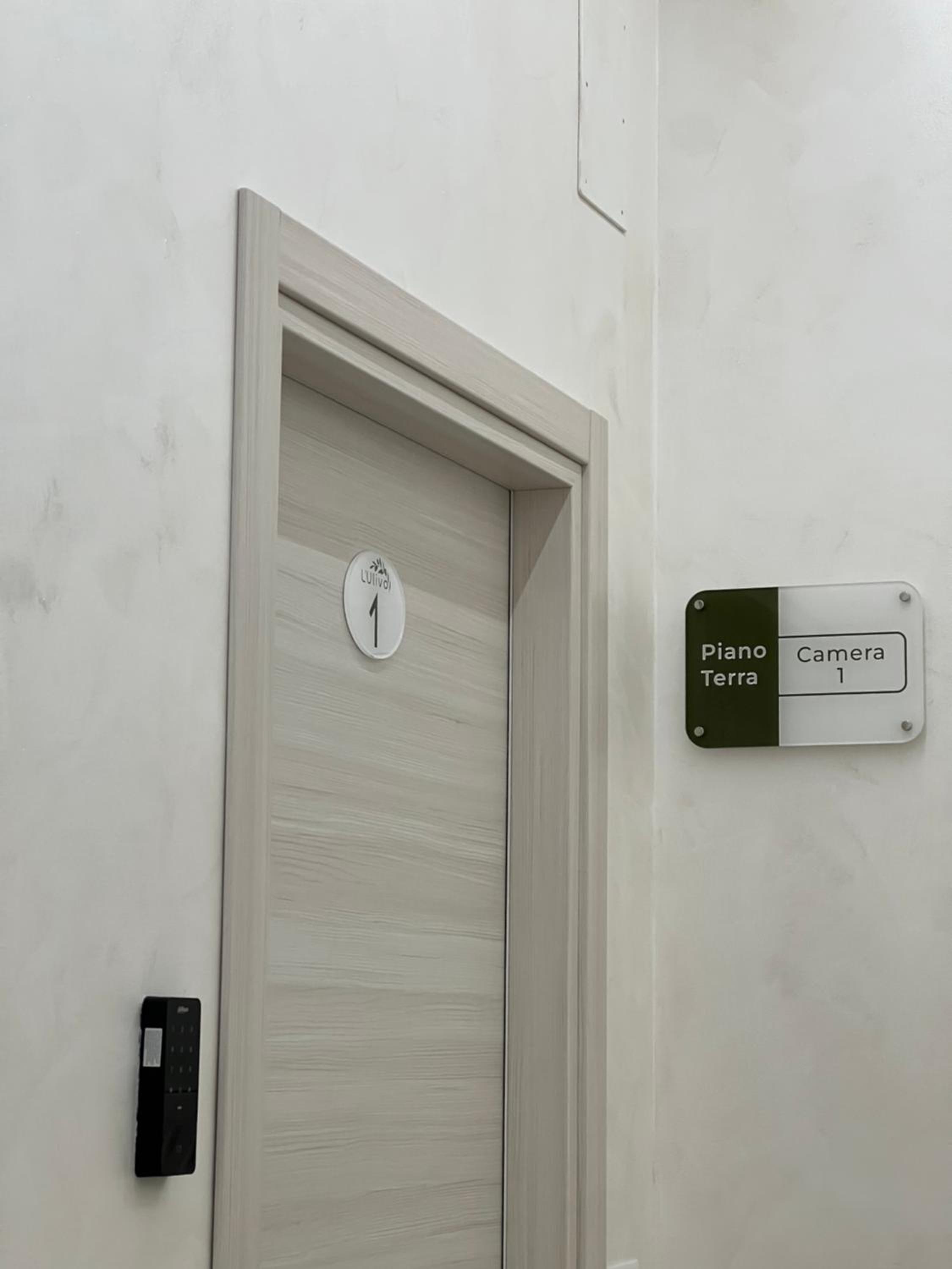 Oliveira, Fotografia 18