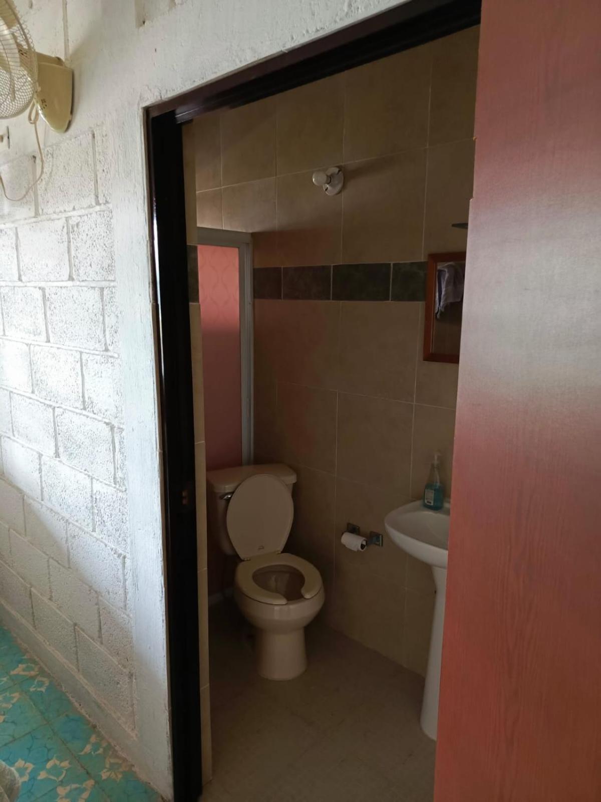 Standard Double Room with Fan photo 3